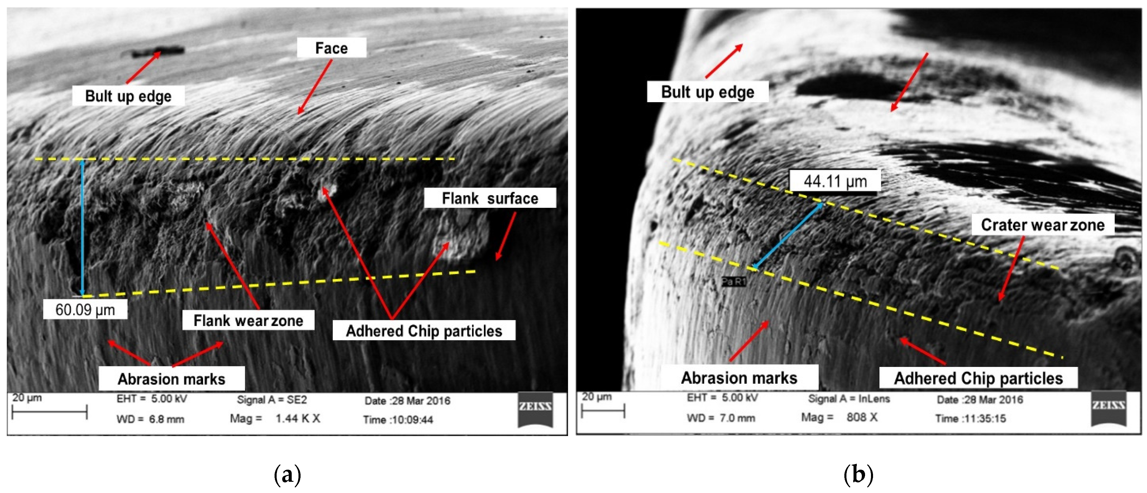 Materials 16 00668 g008
