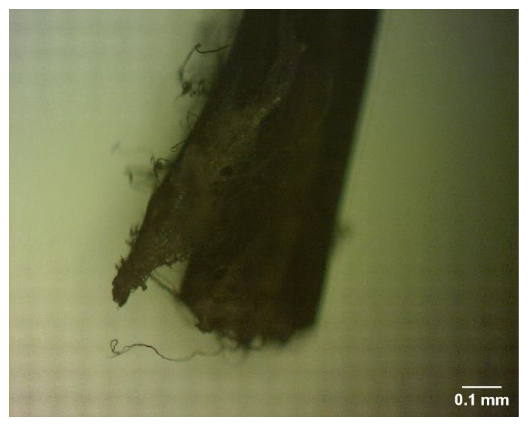 Materials 16 00673 g010