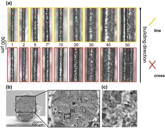 Materials 16 00676 g003