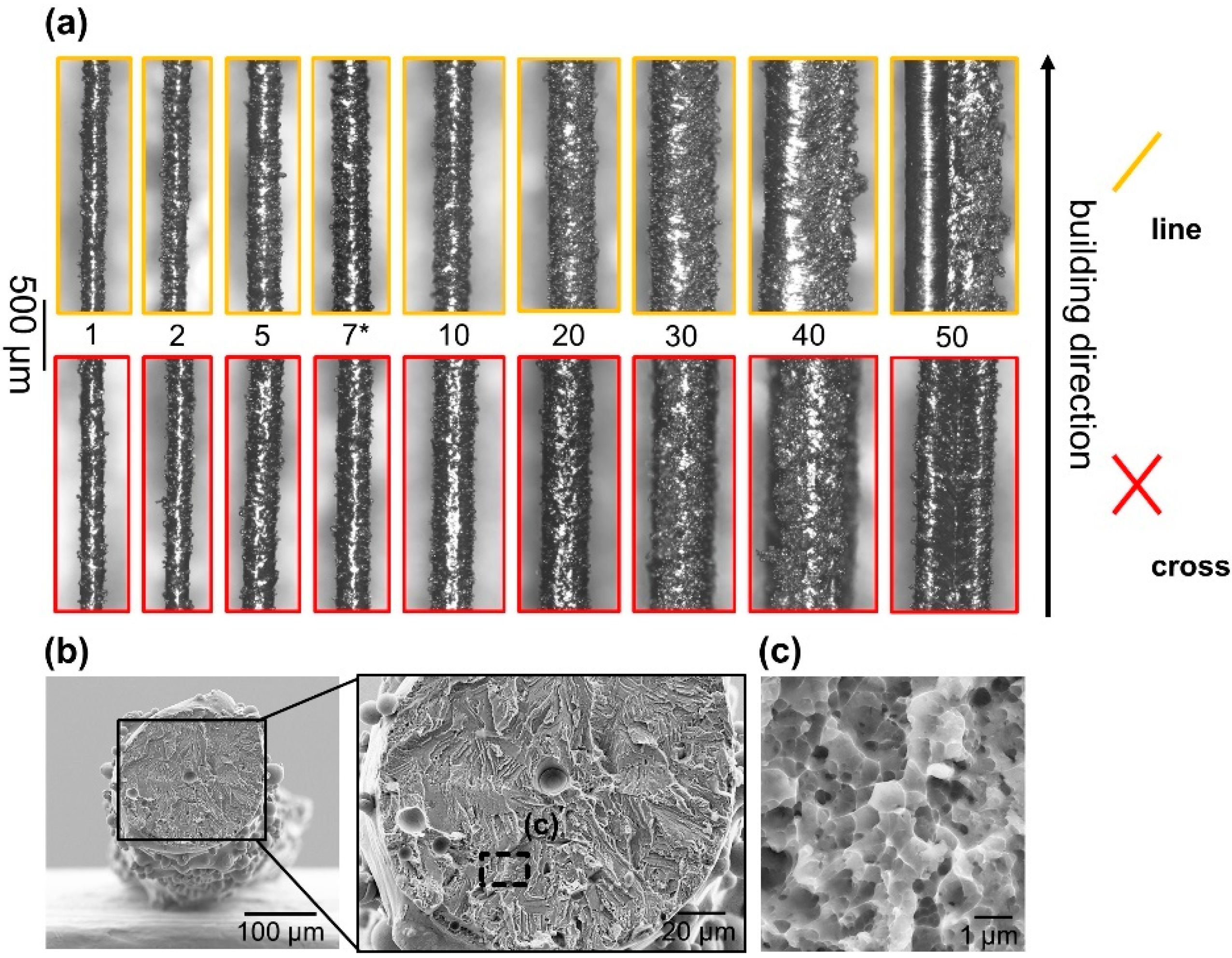 Materials 16 00676 g003
