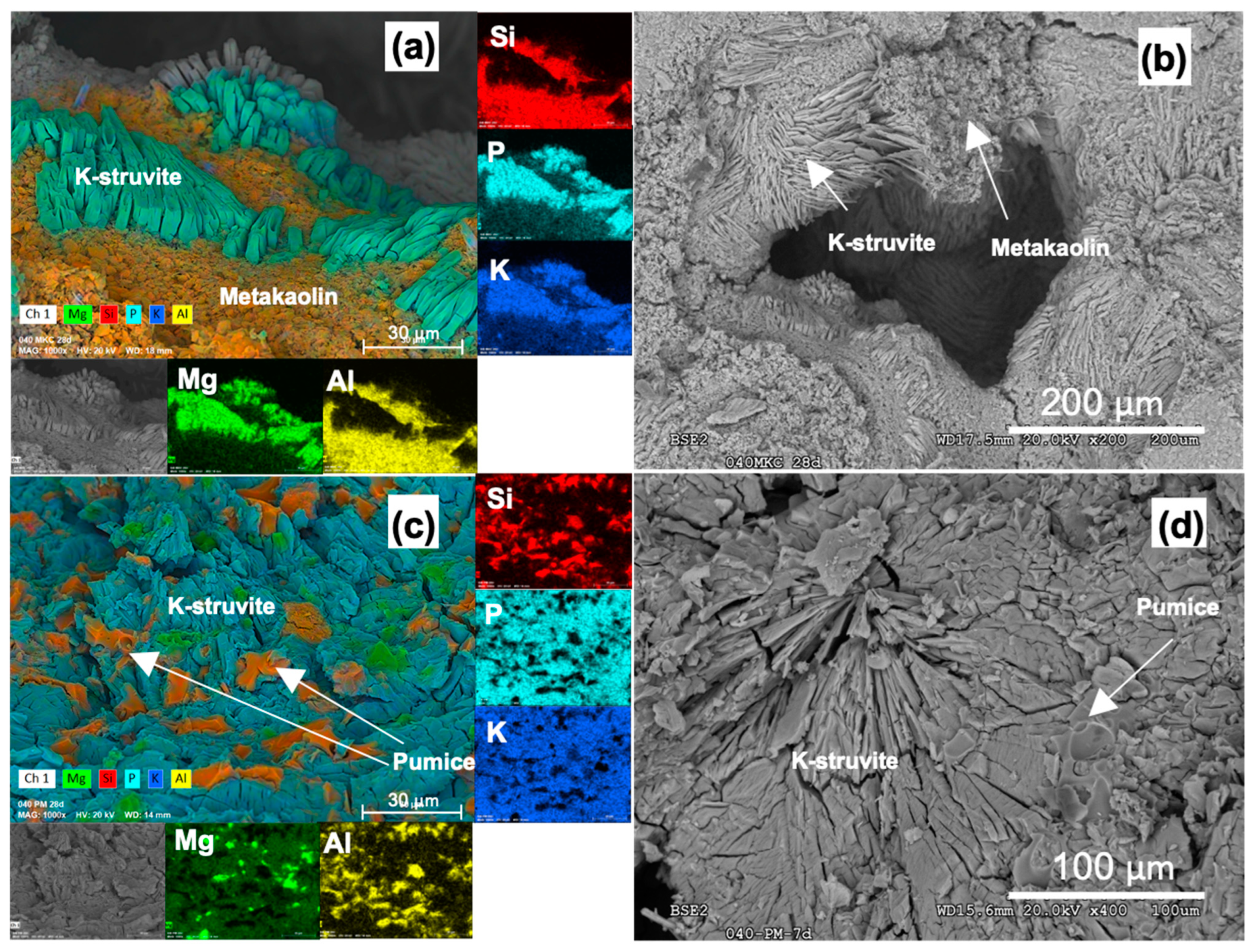 Materials 16 00679 g006