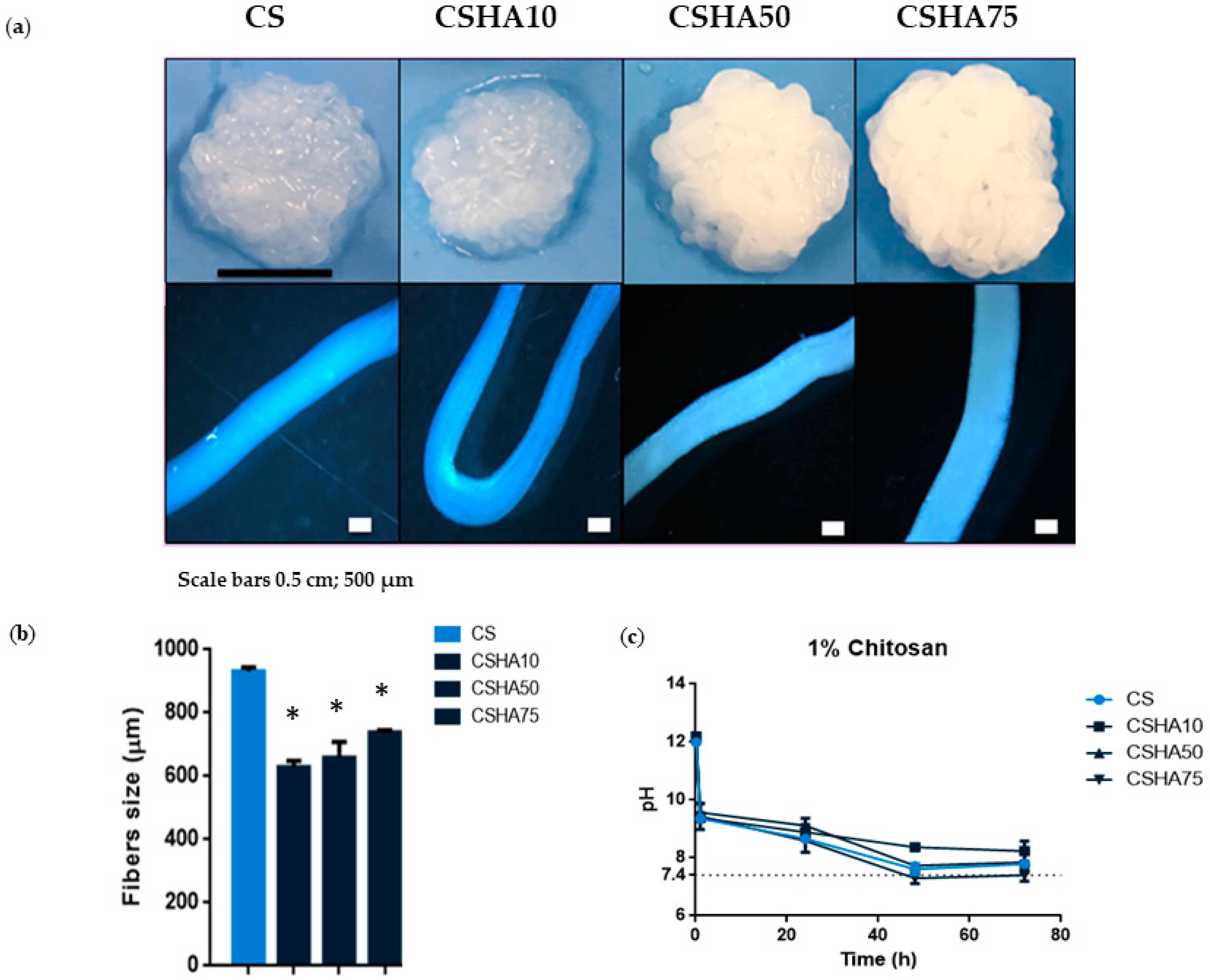Materials 16 00685 g003
