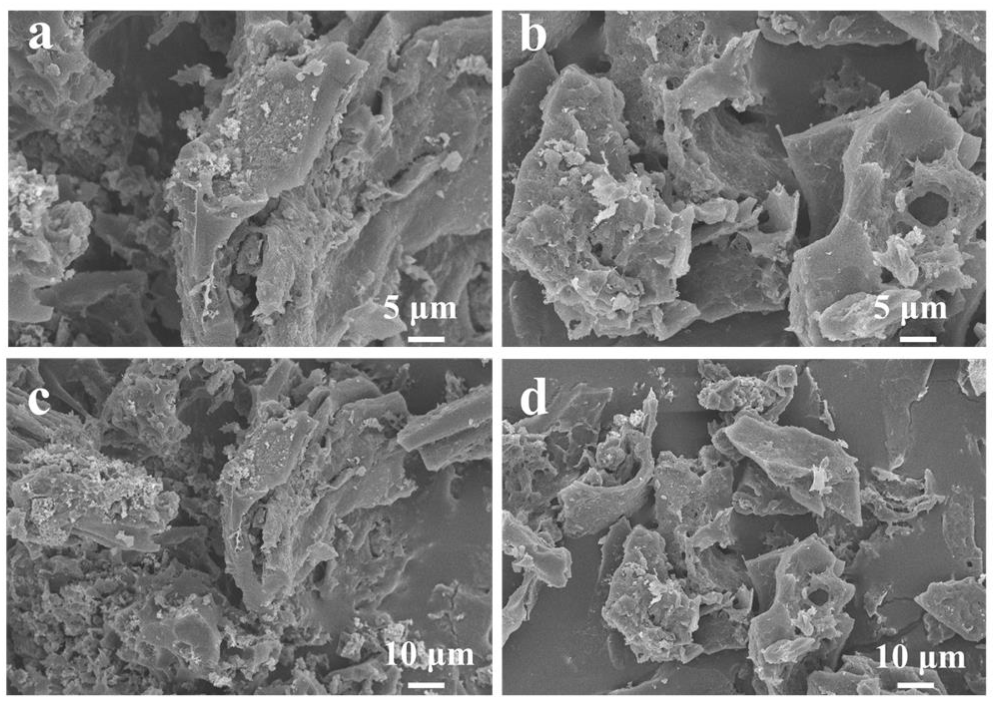 Materials 16 00689 g003