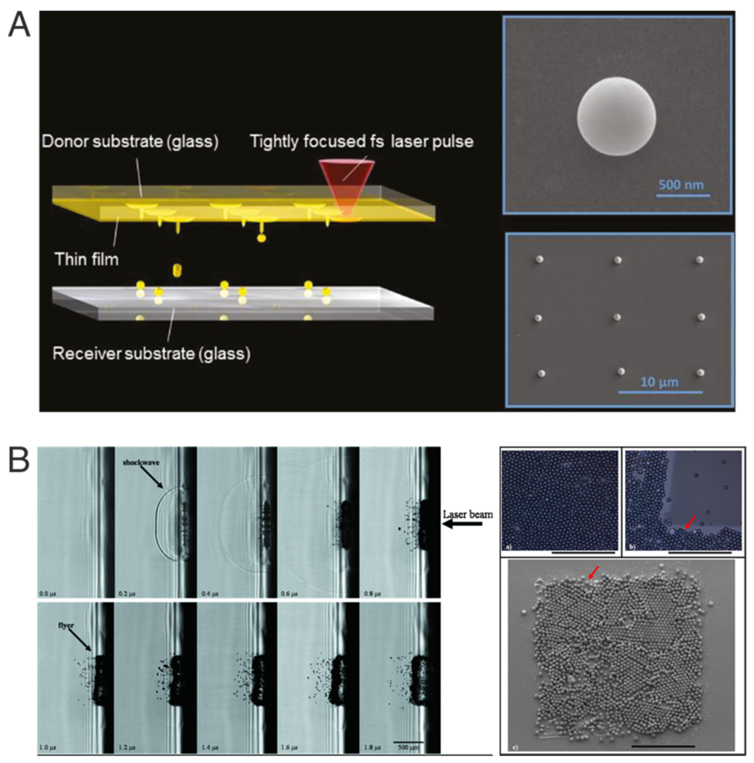 Materials 16 00698 g002
