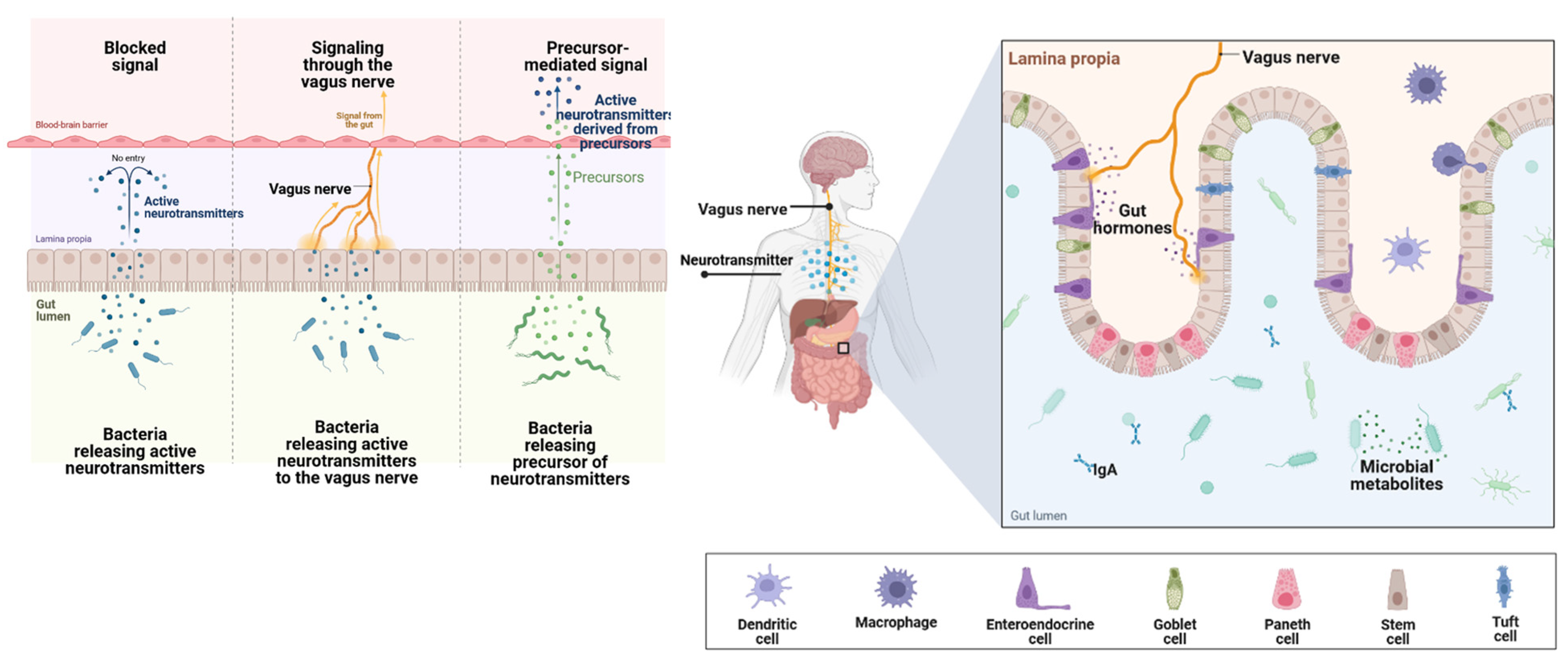 Materials 16 00699 g004