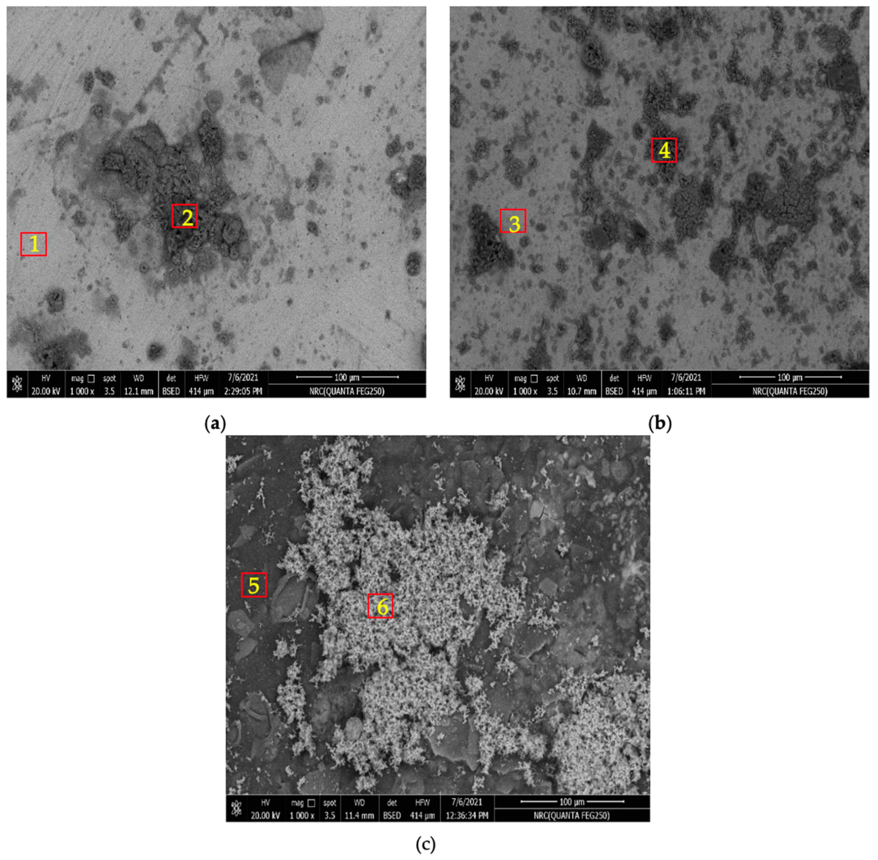 Materials 16 00707 g008