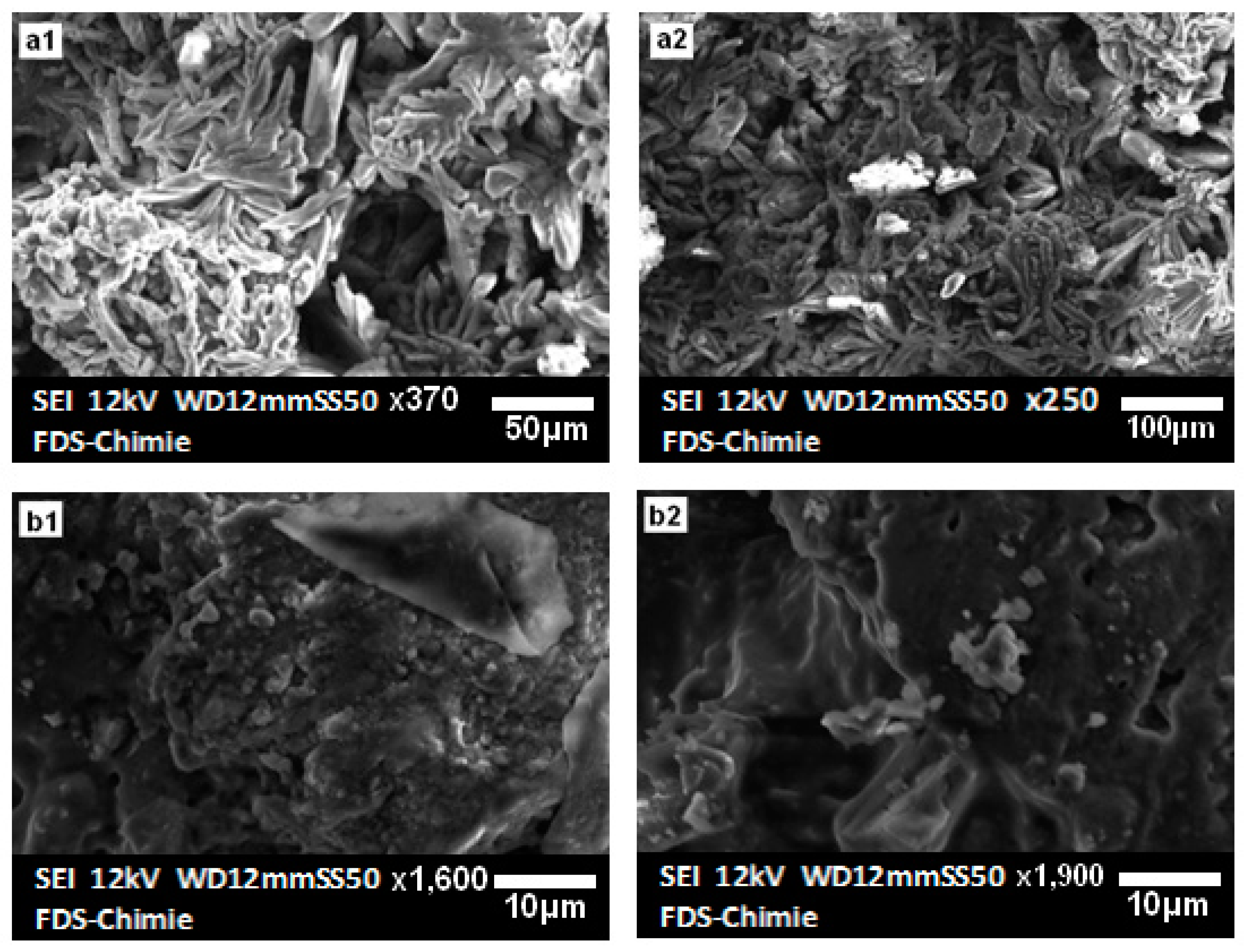 Materials 16 00718 g006