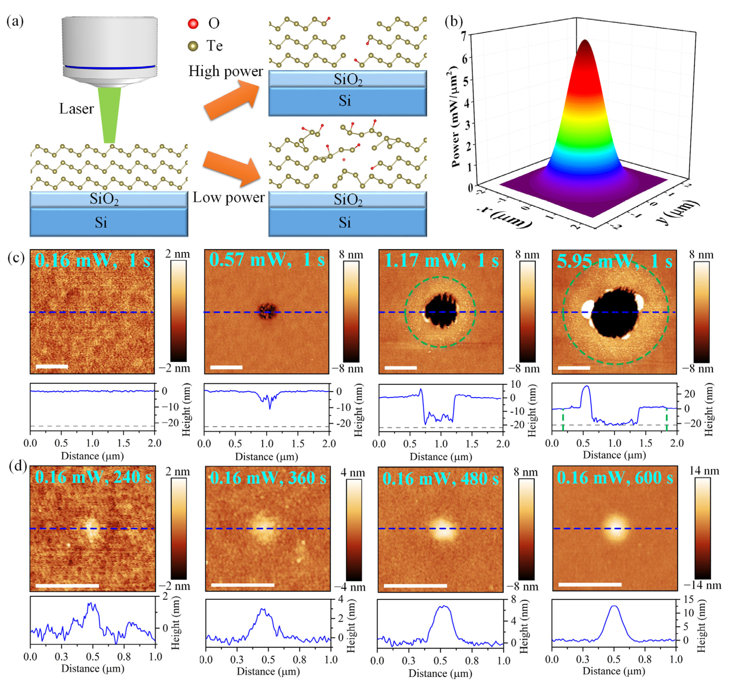 Materials 16 00738 g002