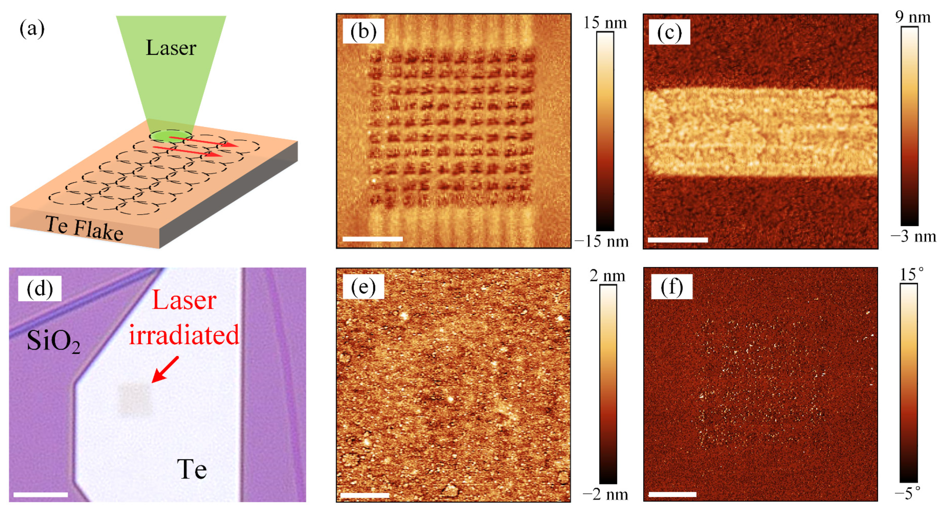 Materials 16 00738 g006