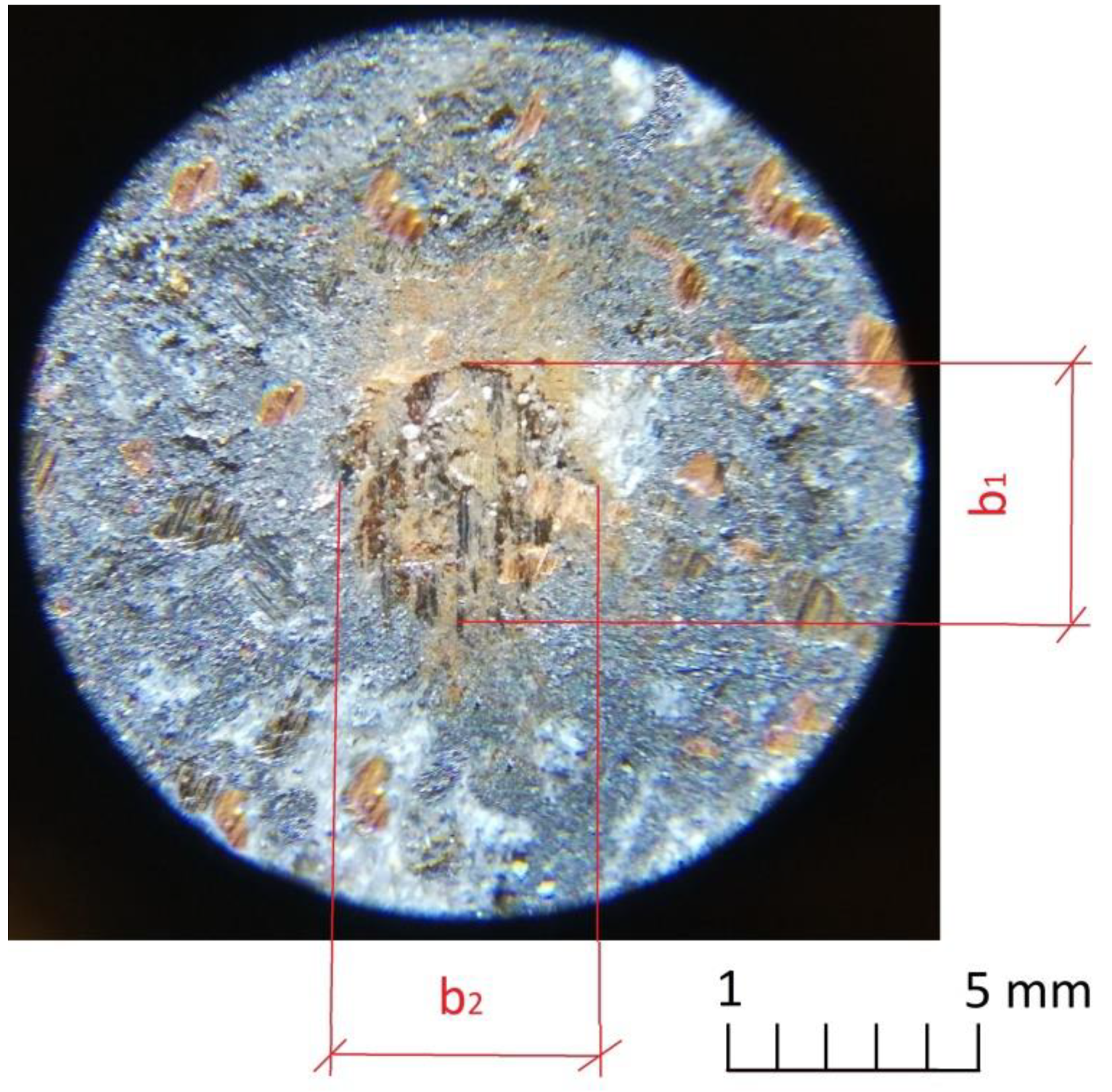 Materials 16 00749 g006