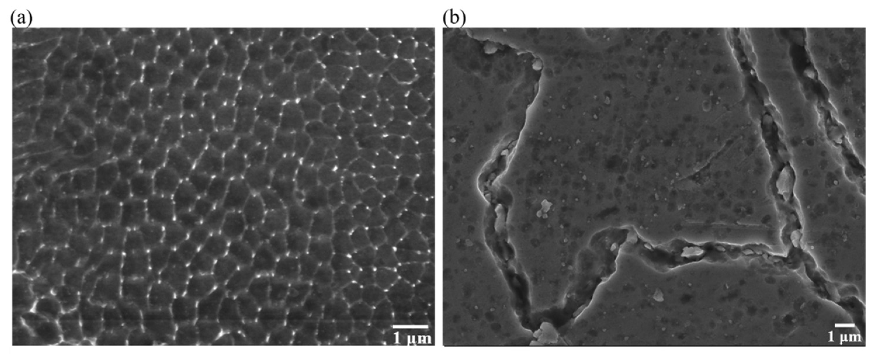 Materials 16 00751 g010