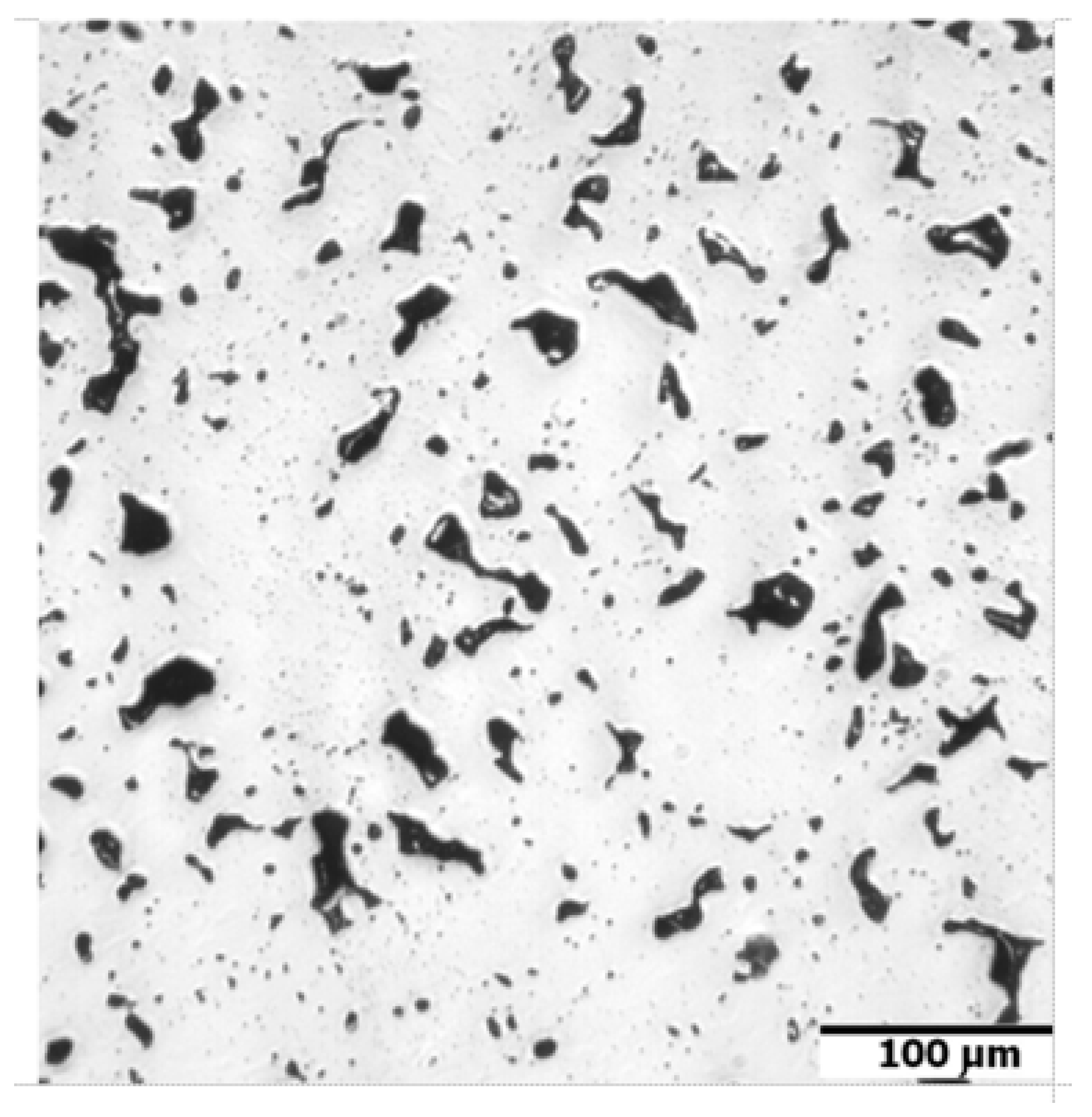 Materials 16 00760 g006