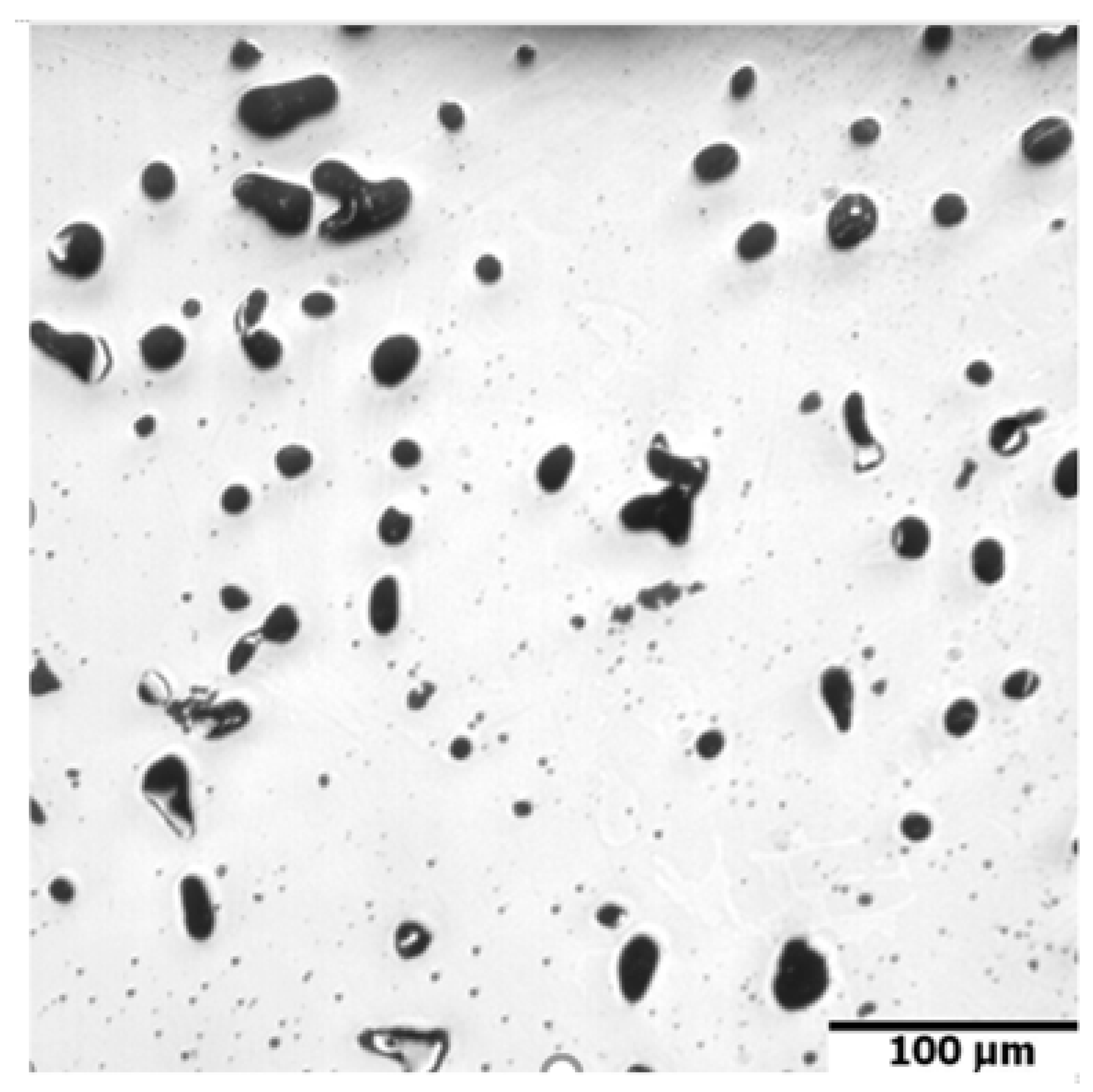 Materials 16 00760 g007