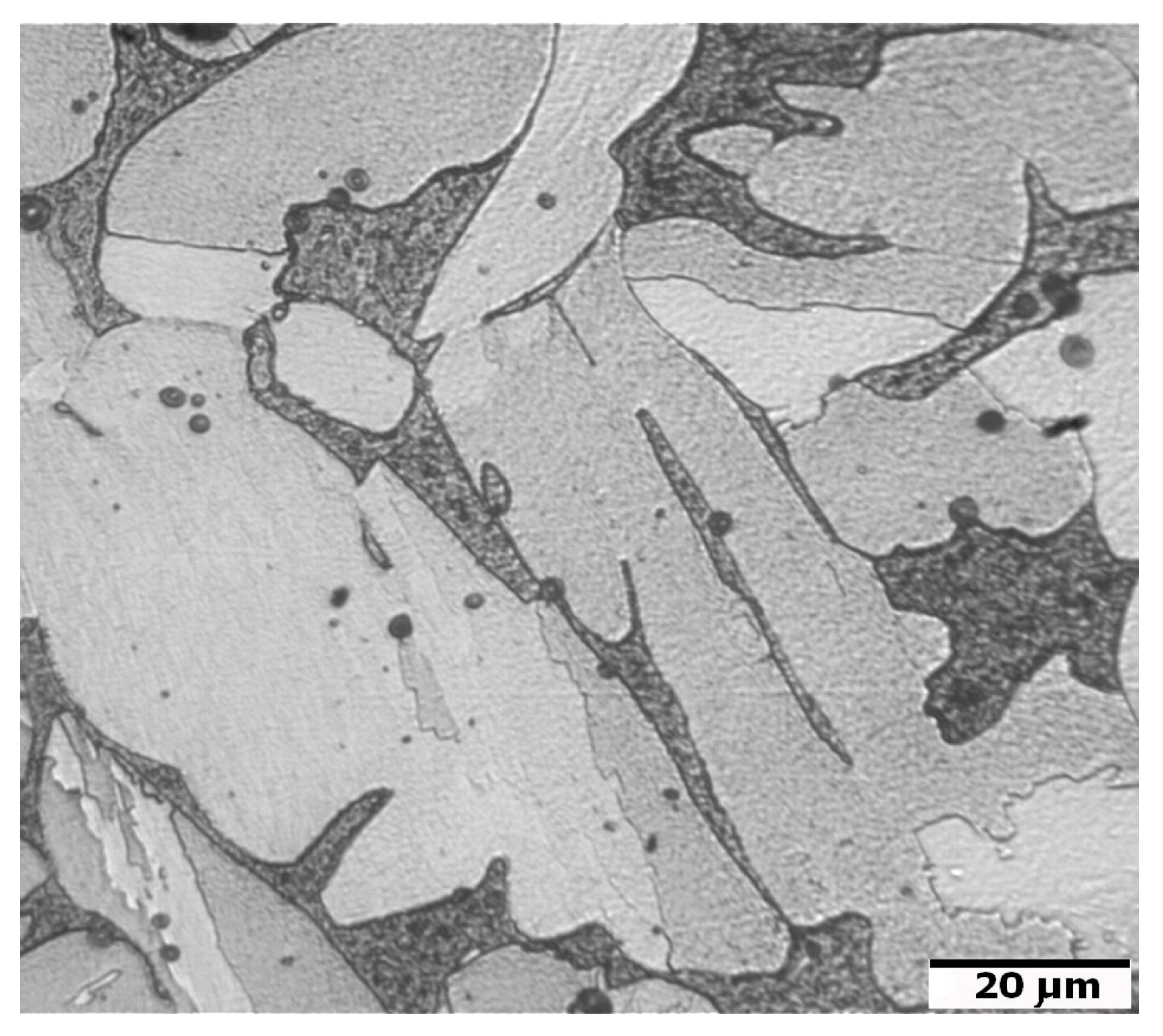 Materials 16 00760 g016