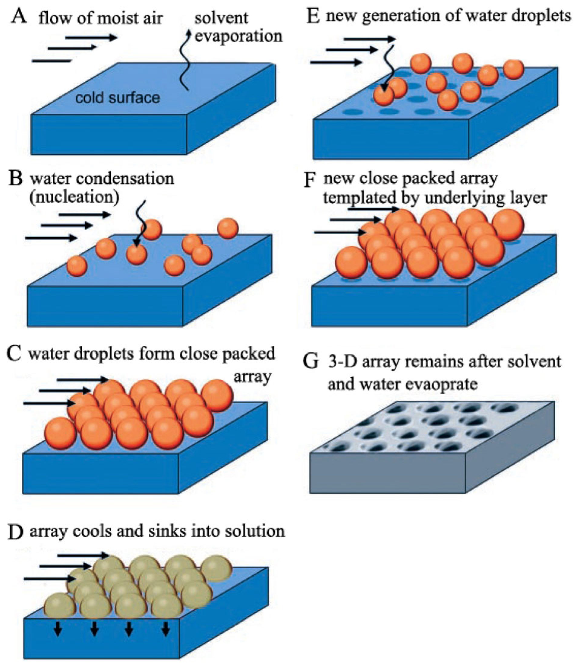 Materials 16 00772 g005