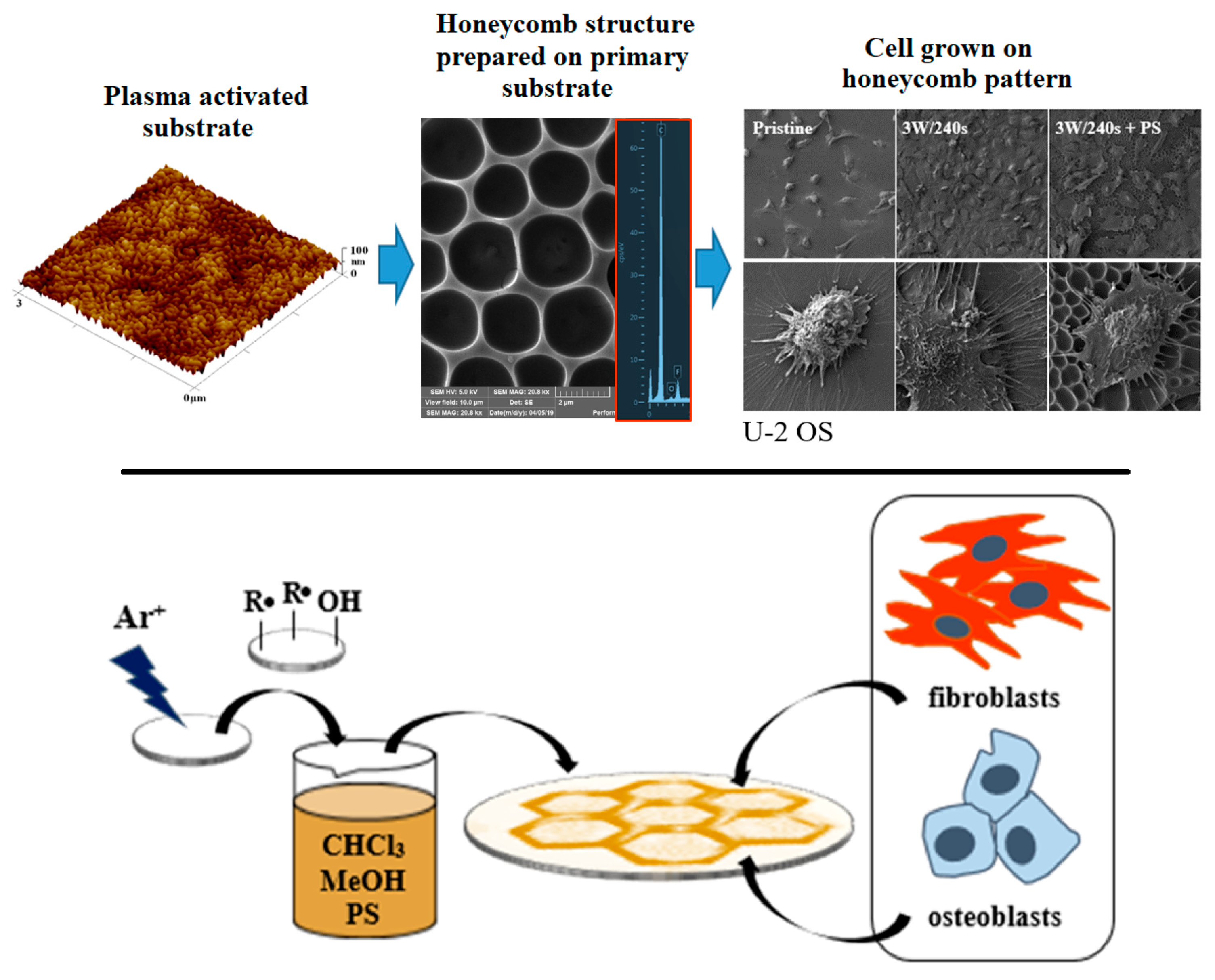 Materials 16 00772 g006