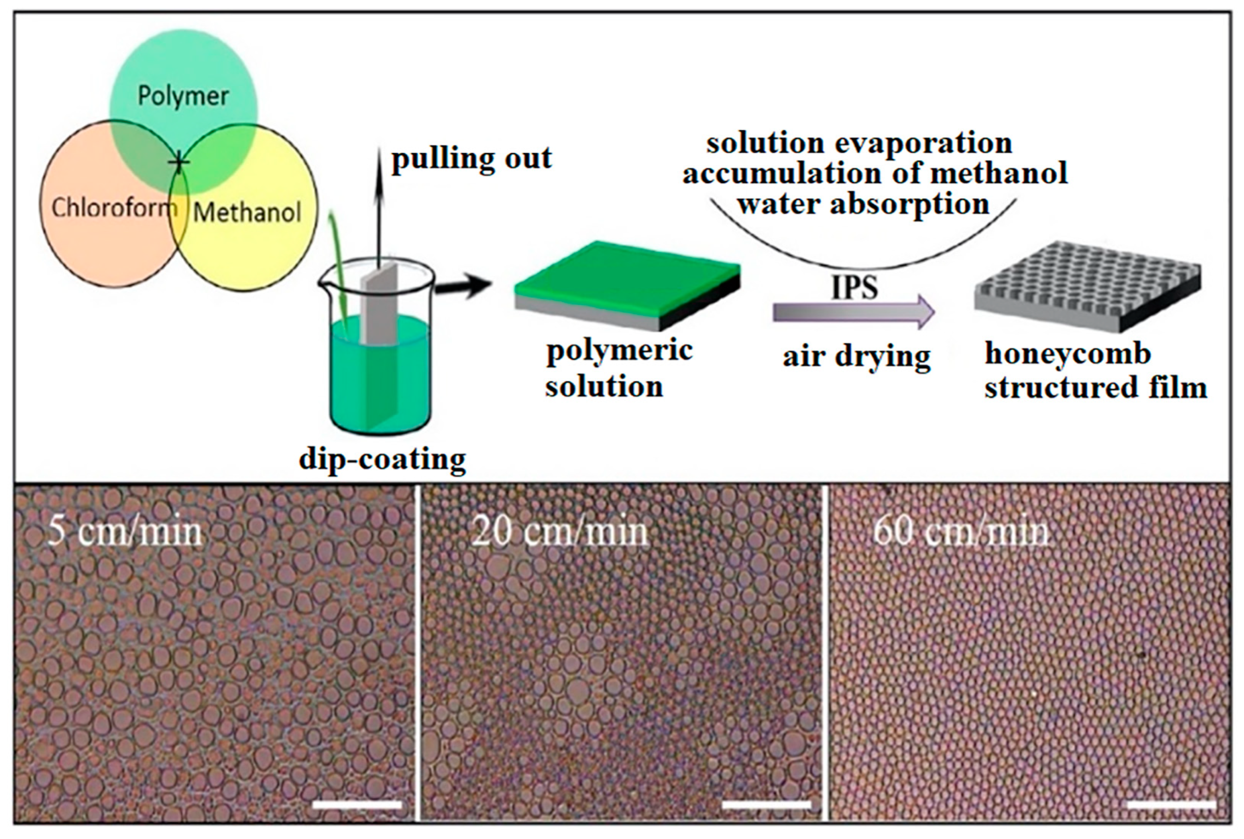 Materials 16 00772 g007