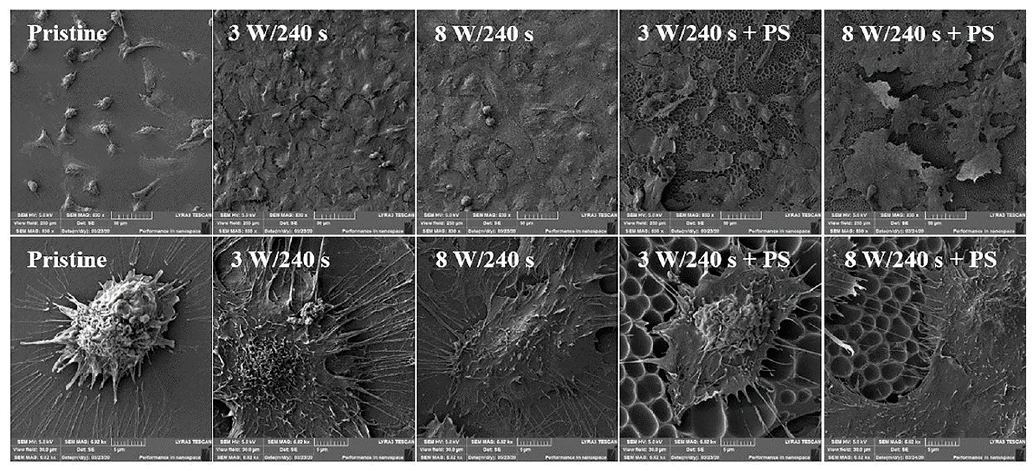 Materials 16 00772 g008