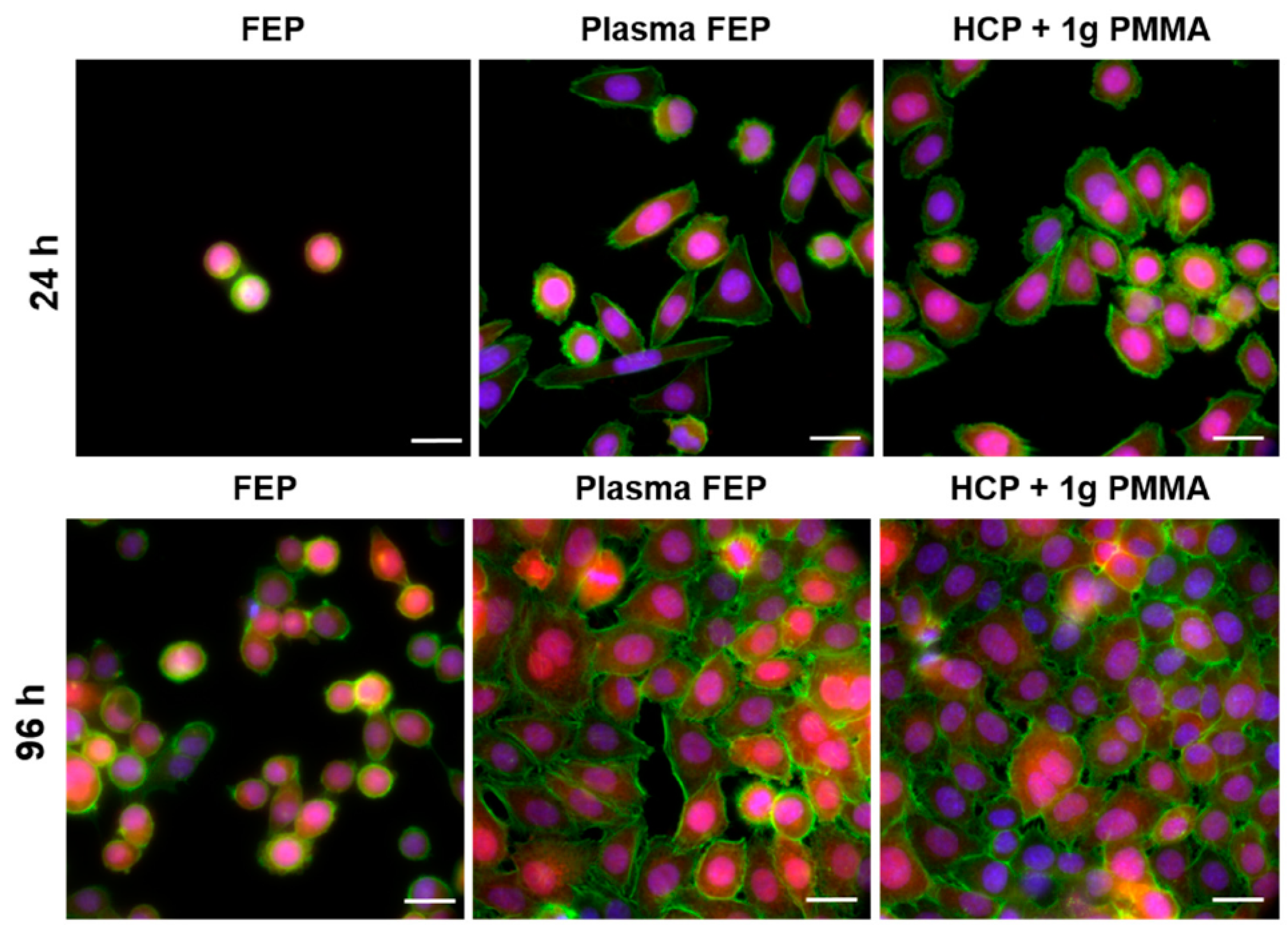 Materials 16 00772 g009