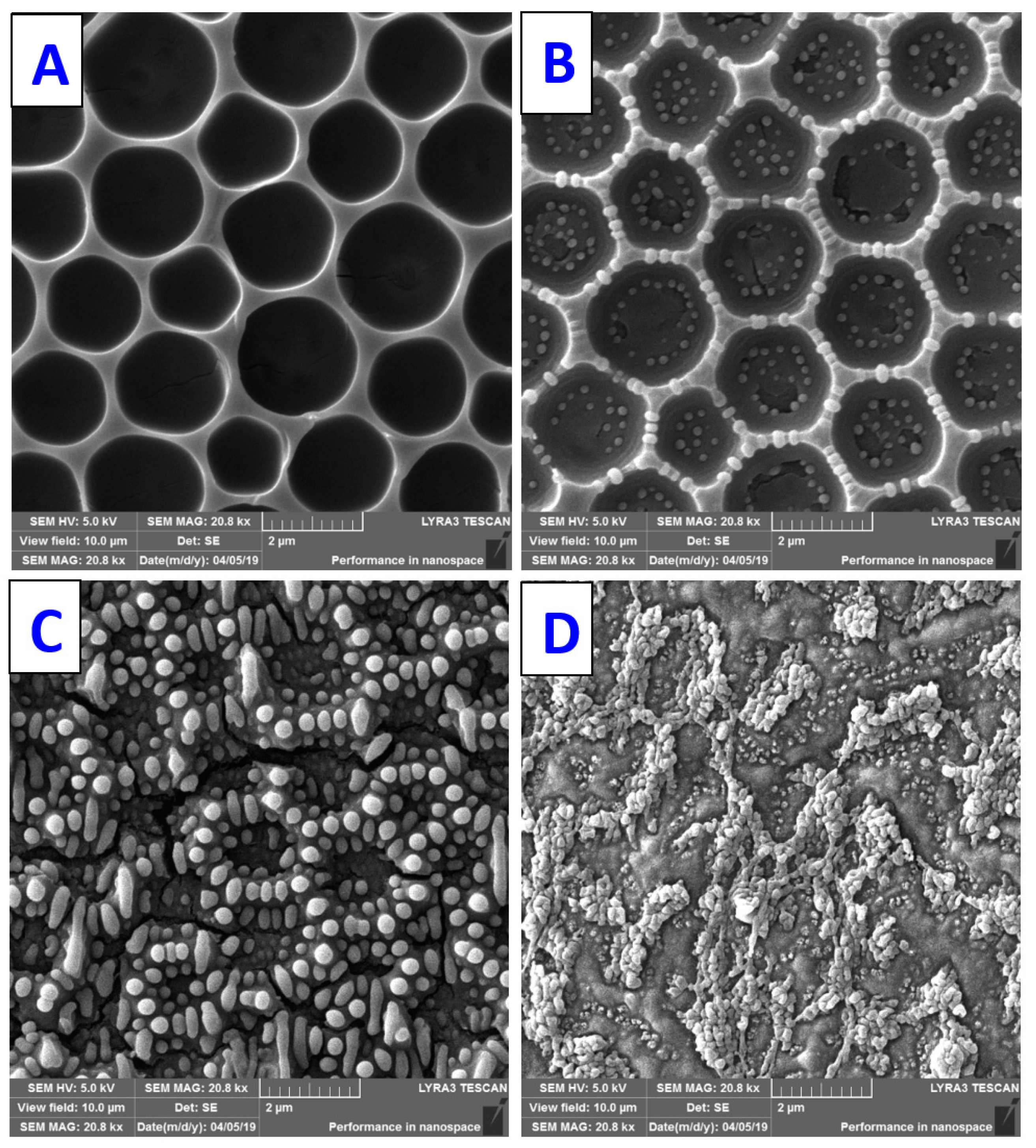 Materials 16 00772 g011