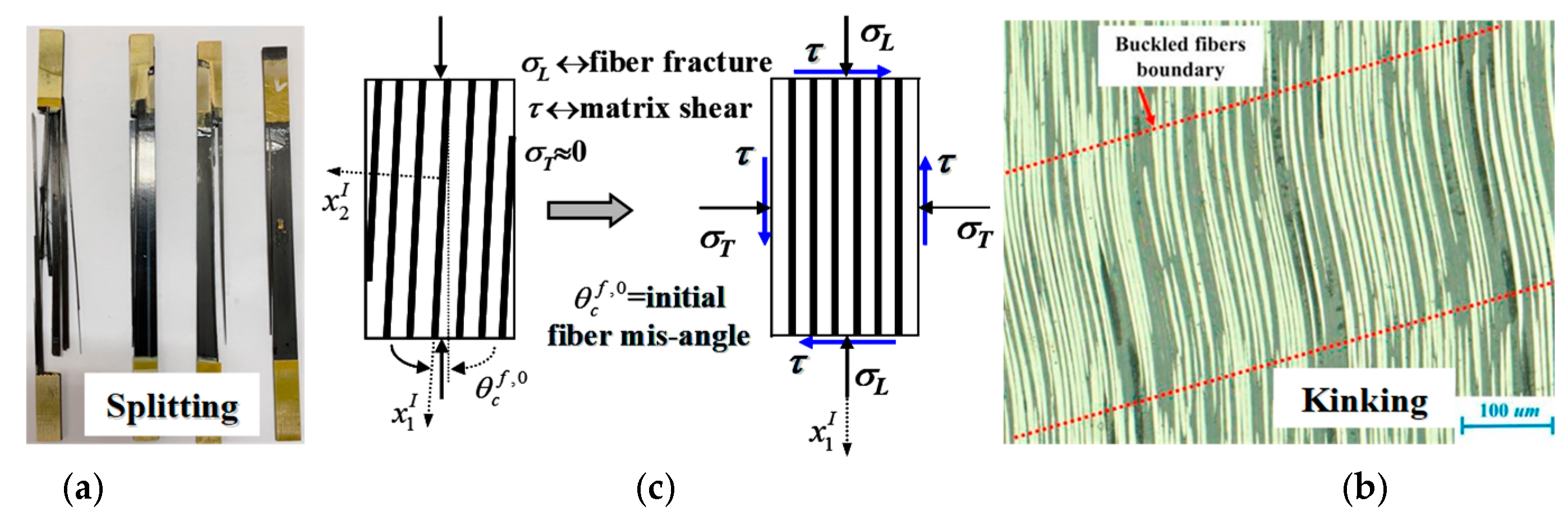 Materials 16 00774 g002