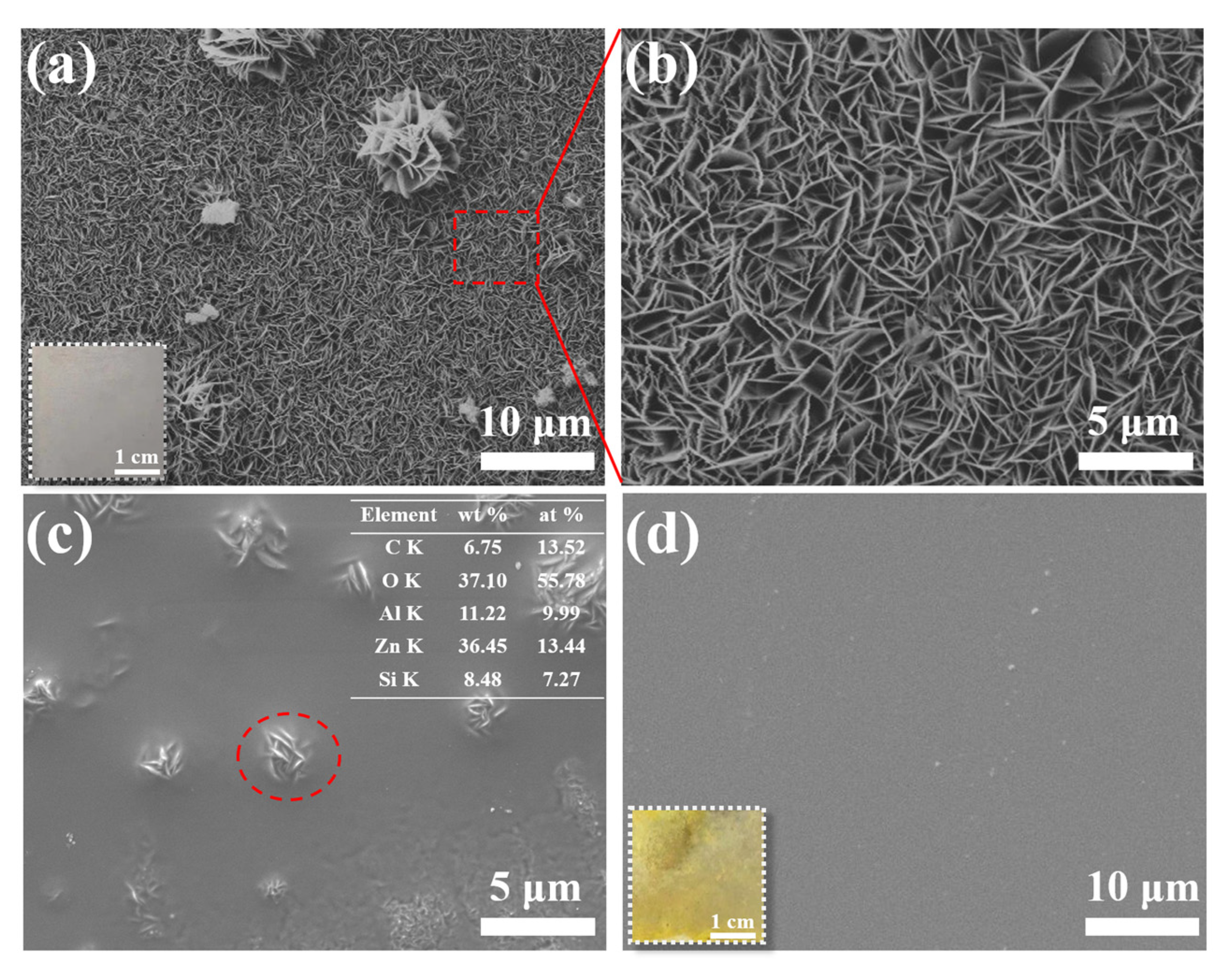 Materials 16 00775 g001