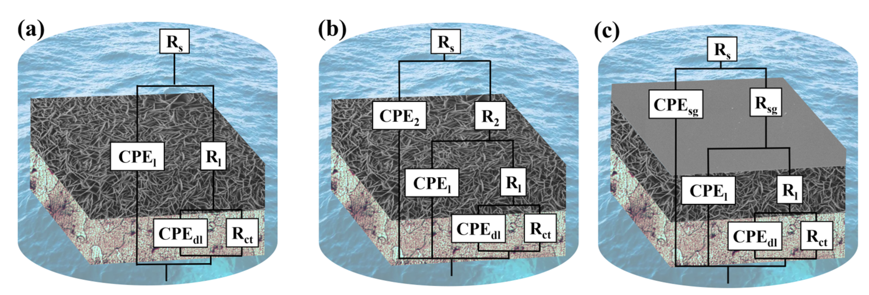 Materials 16 00775 g006