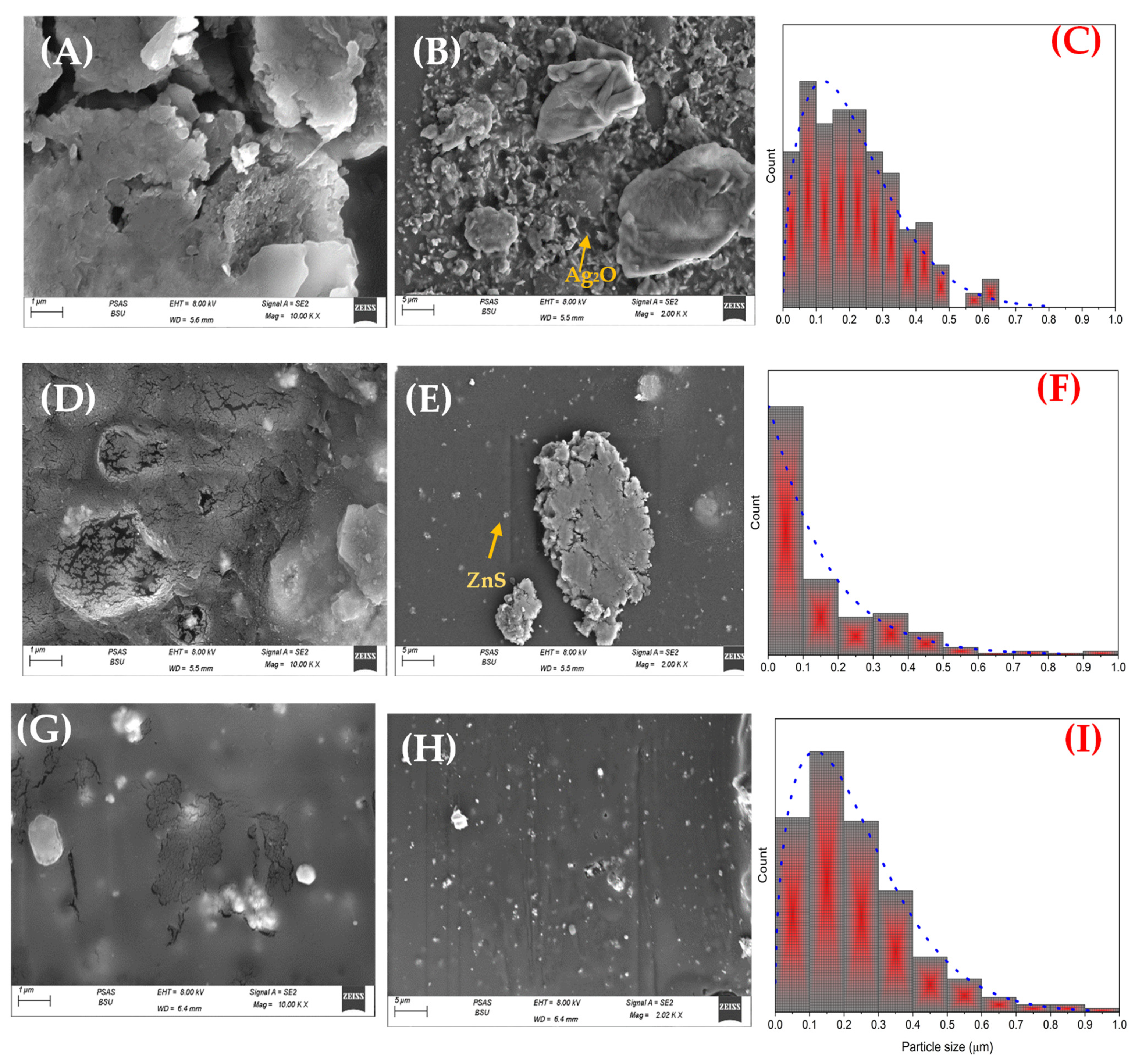 Materials 16 00777 g003