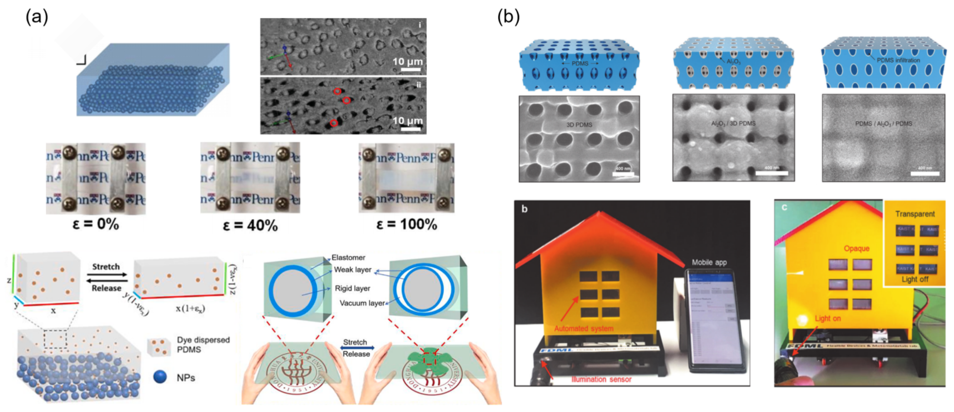 Materials 16 00779 g004