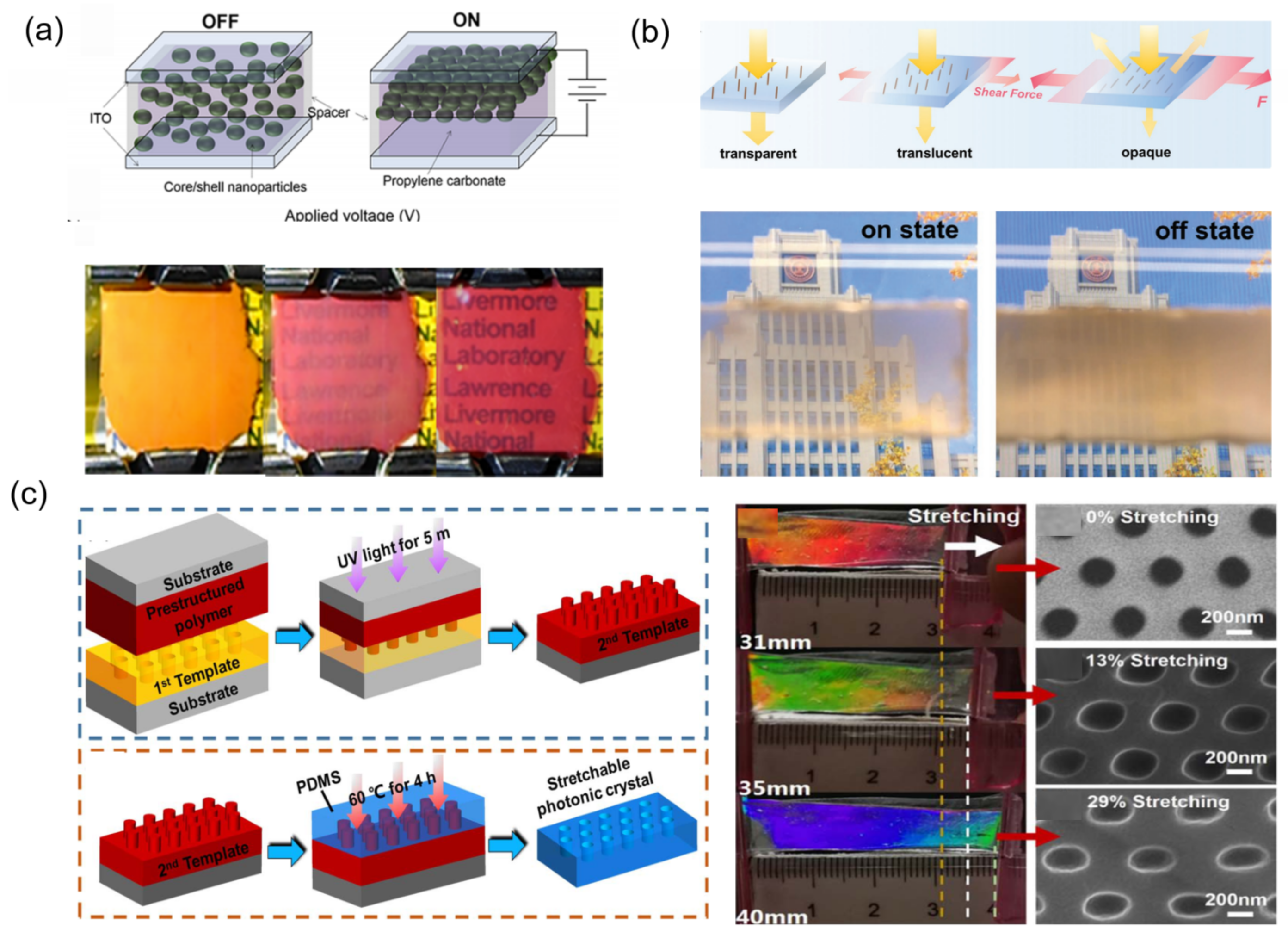Materials 16 00779 g005