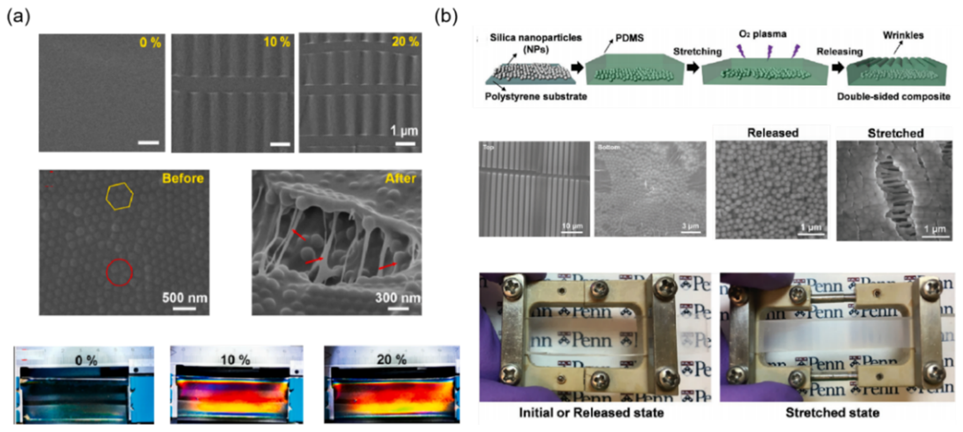 Materials 16 00779 g006
