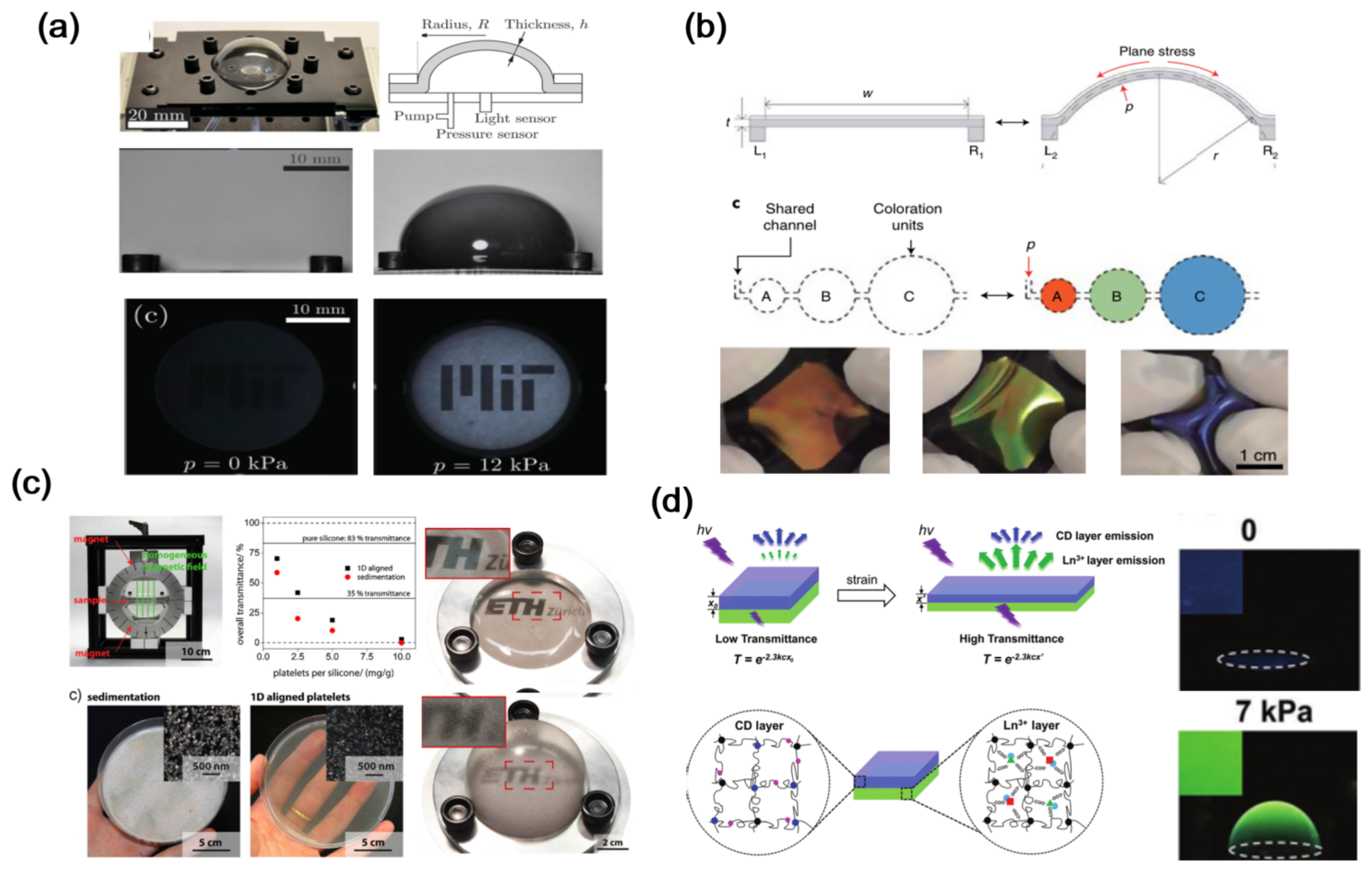 Materials 16 00779 g007