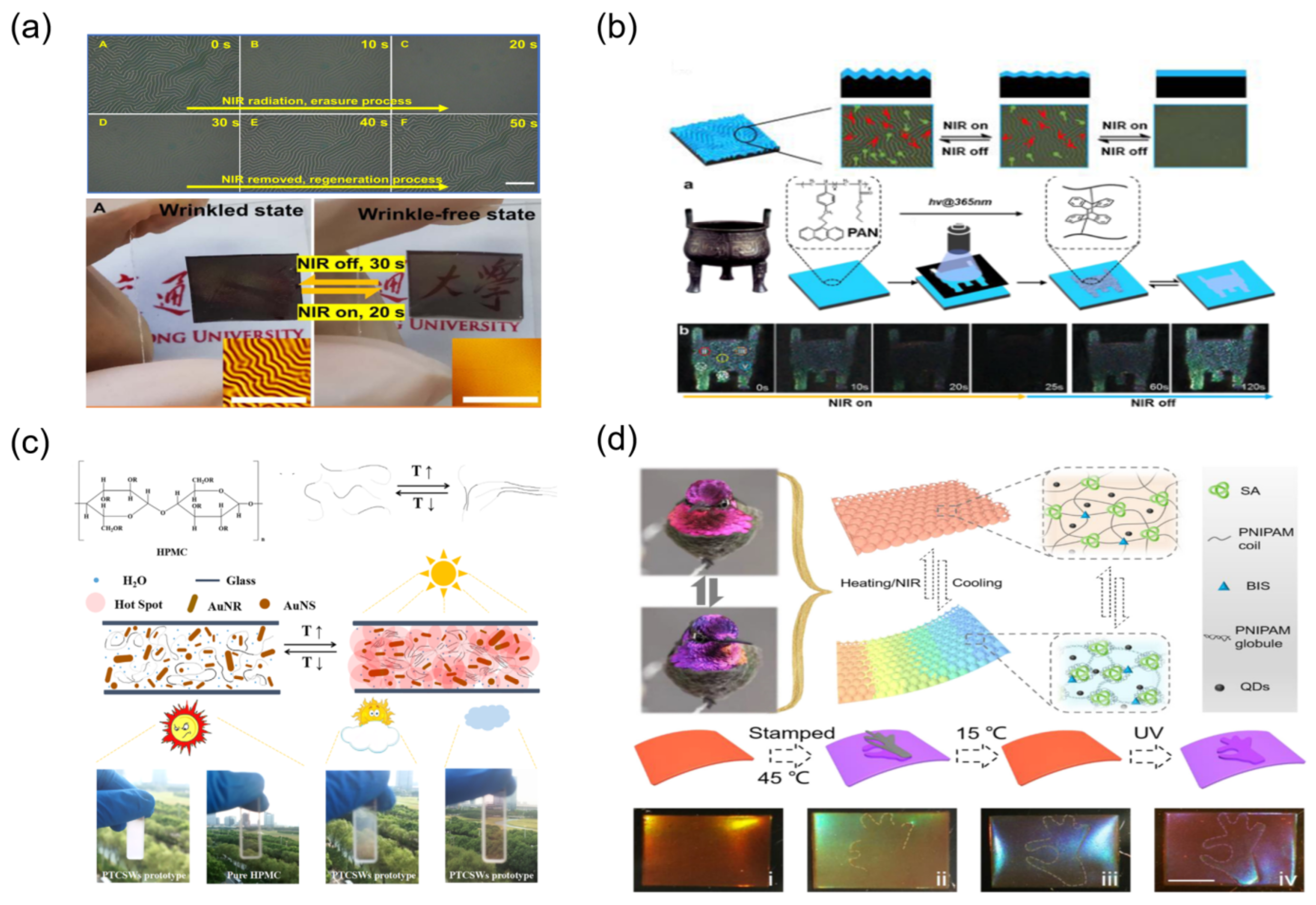 Materials 16 00779 g008