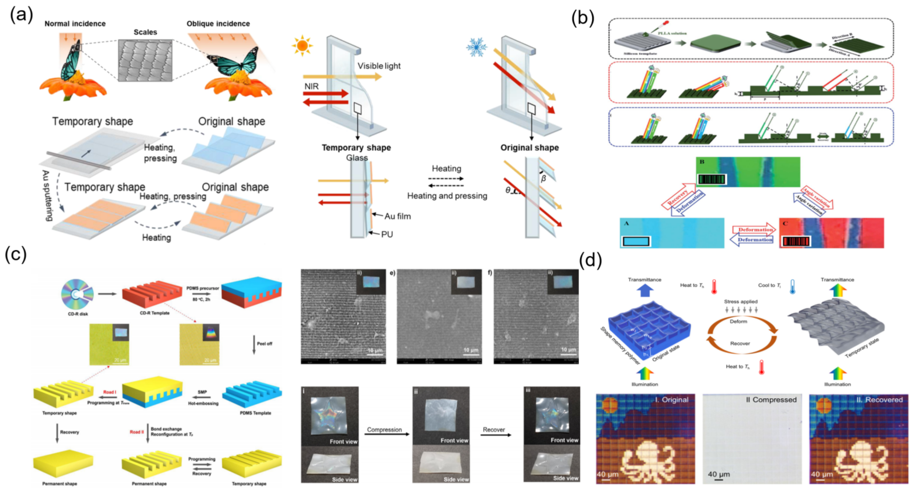 Materials 16 00779 g009