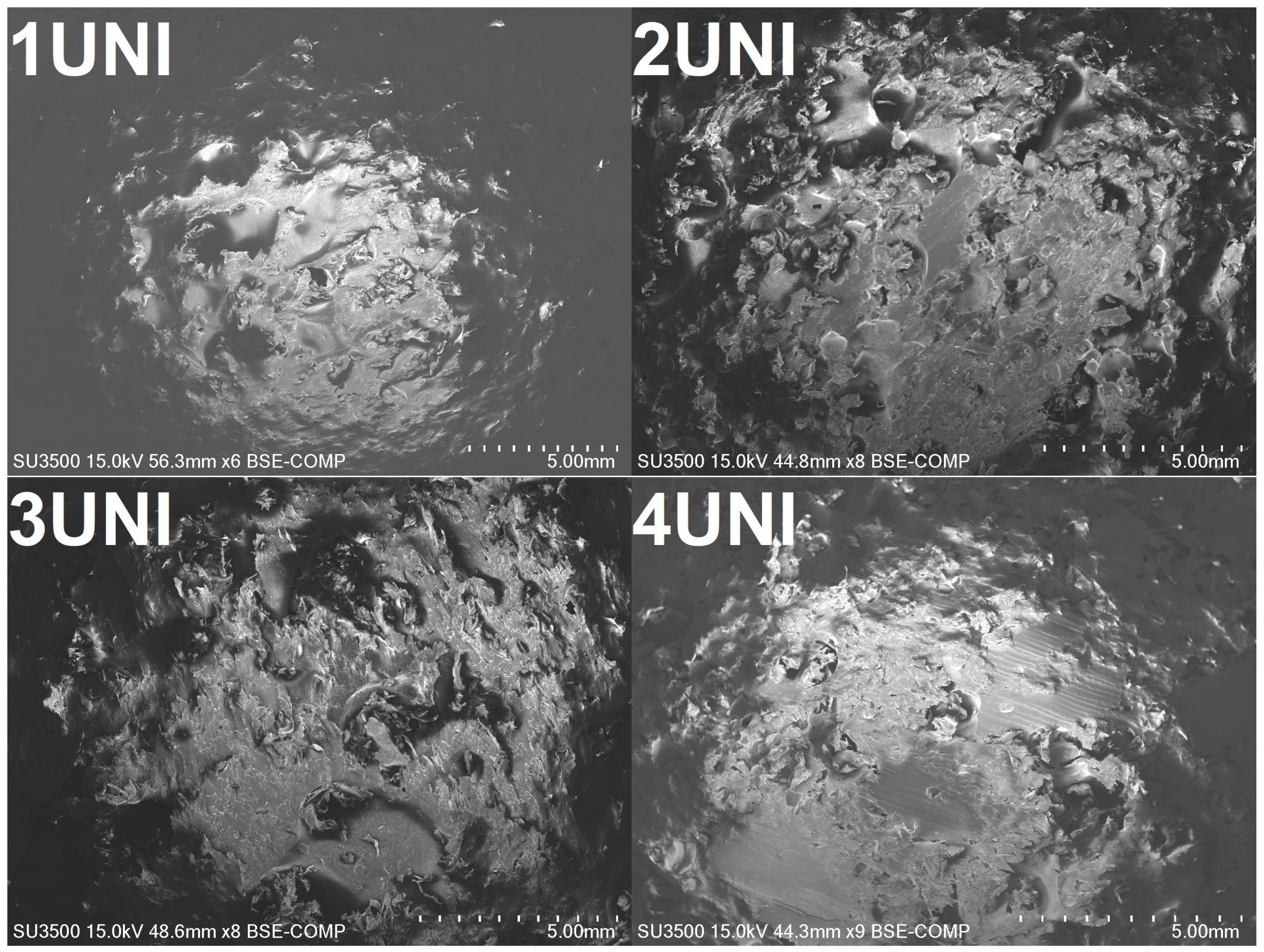 Materials 16 00782 g007