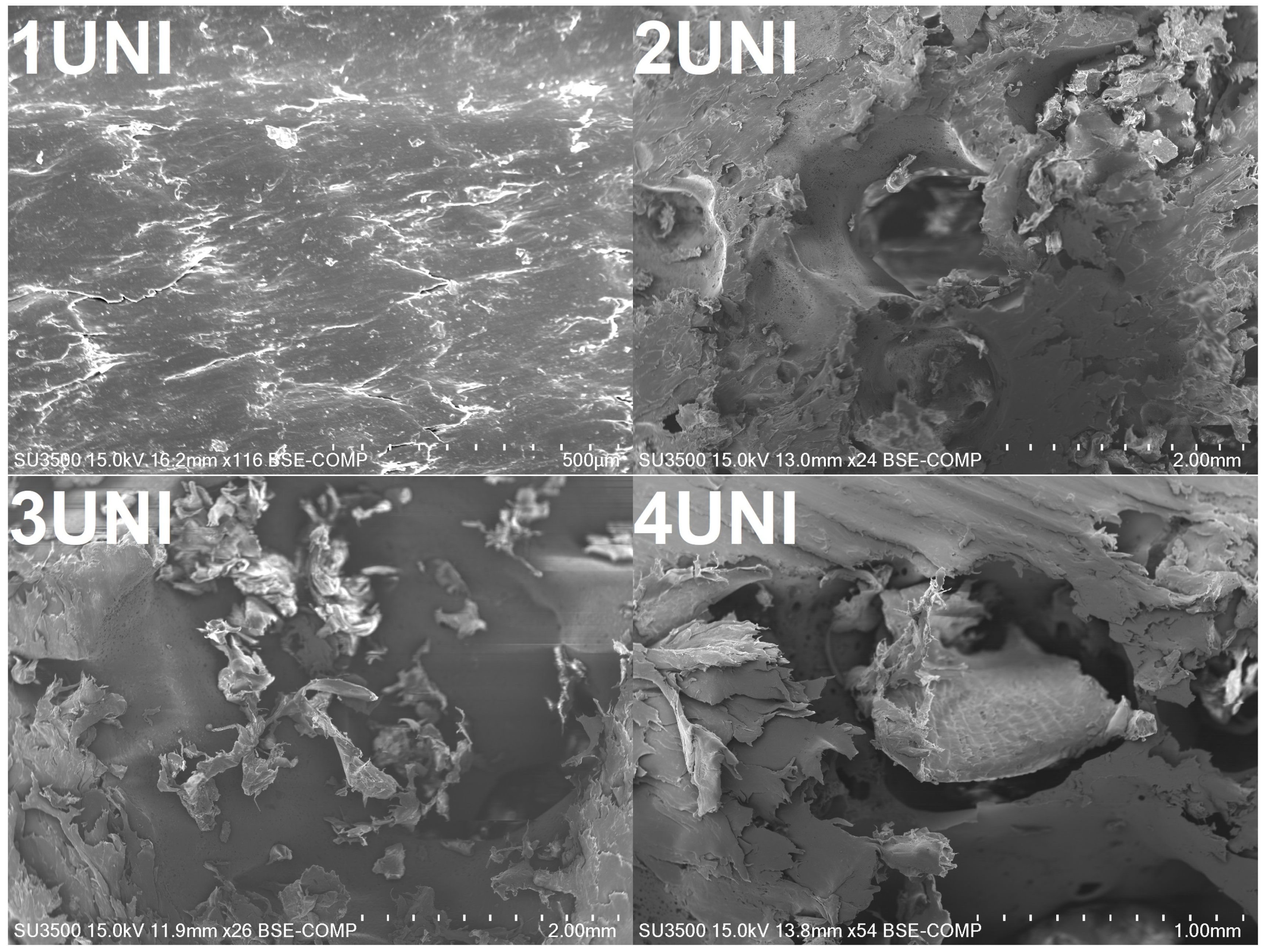 Materials 16 00782 g008