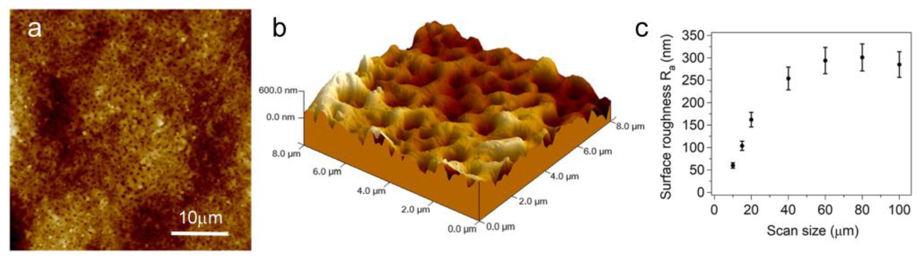 Materials 16 00784 g001