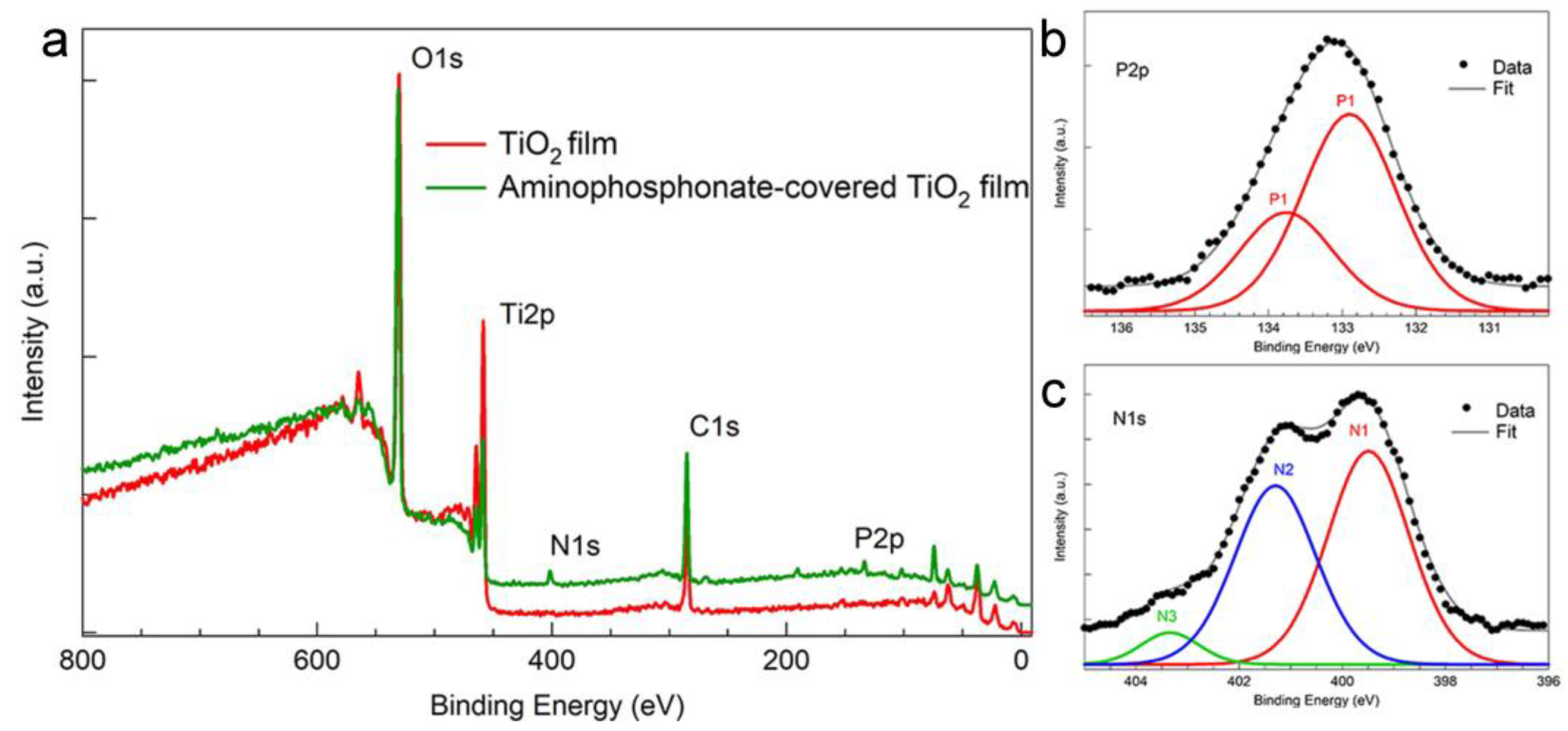 Materials 16 00784 g003