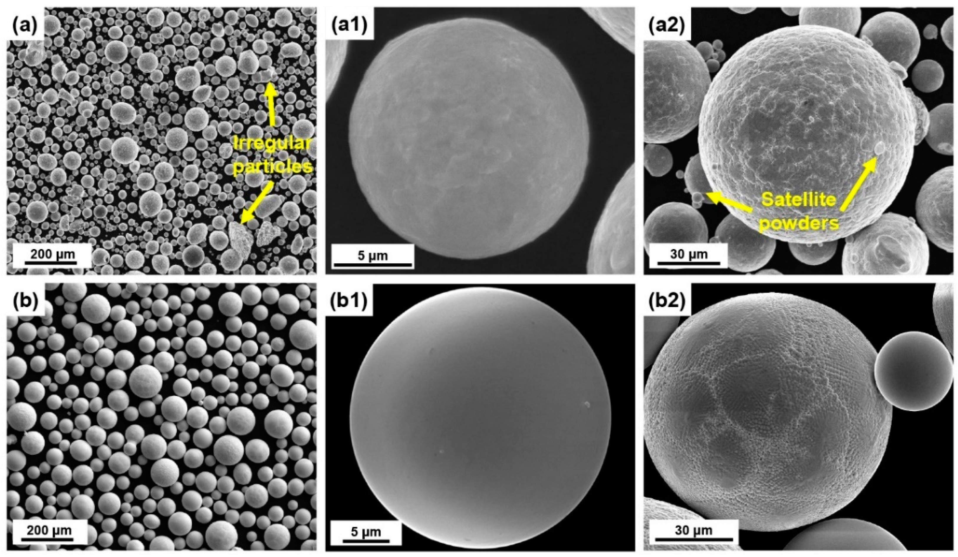 Materials 16 00791 g004