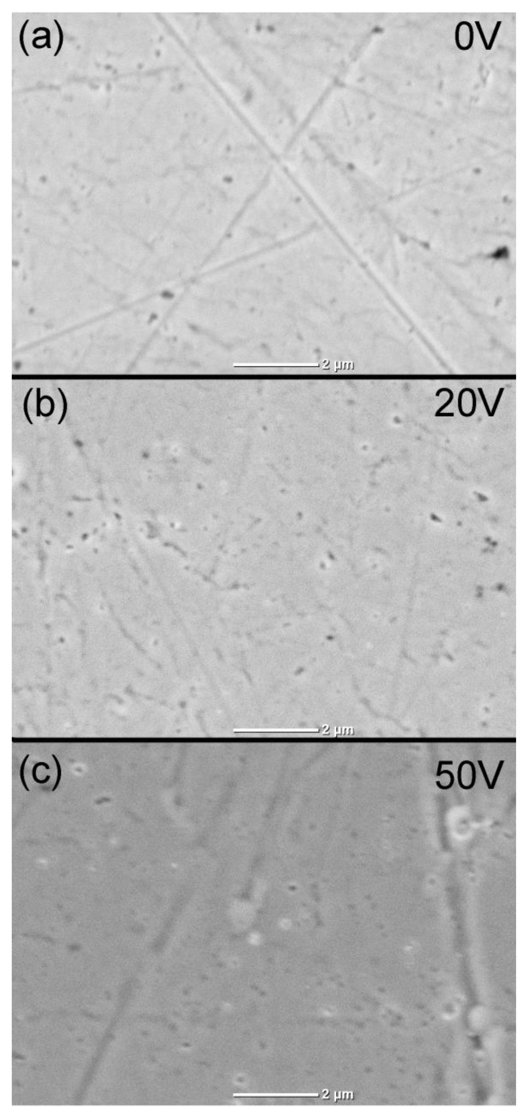 Materials 16 00798 g007