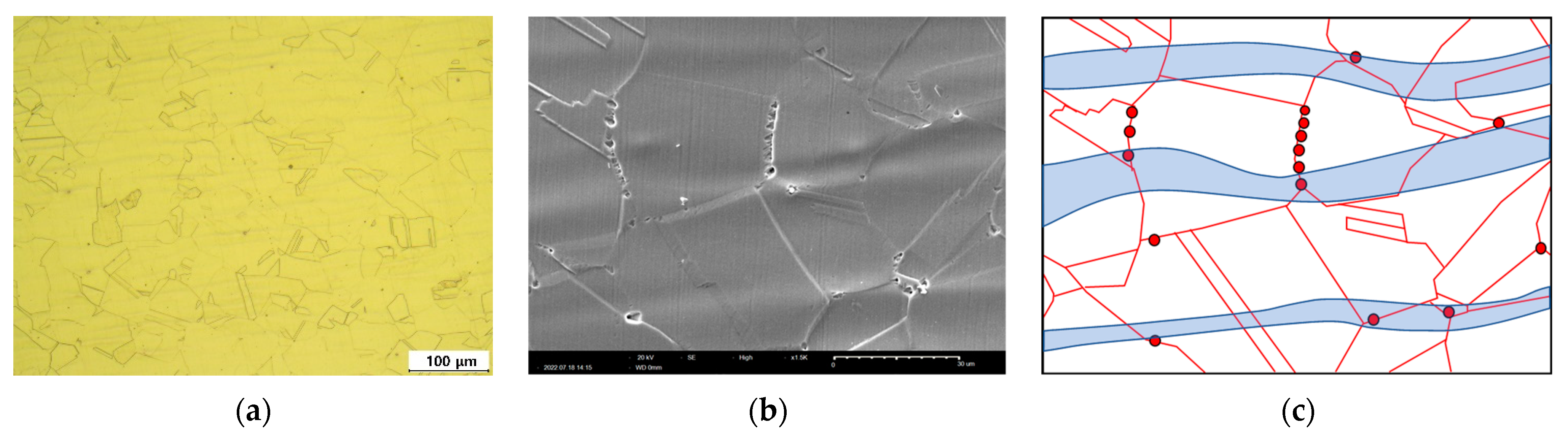 Materials 16 00804 g010