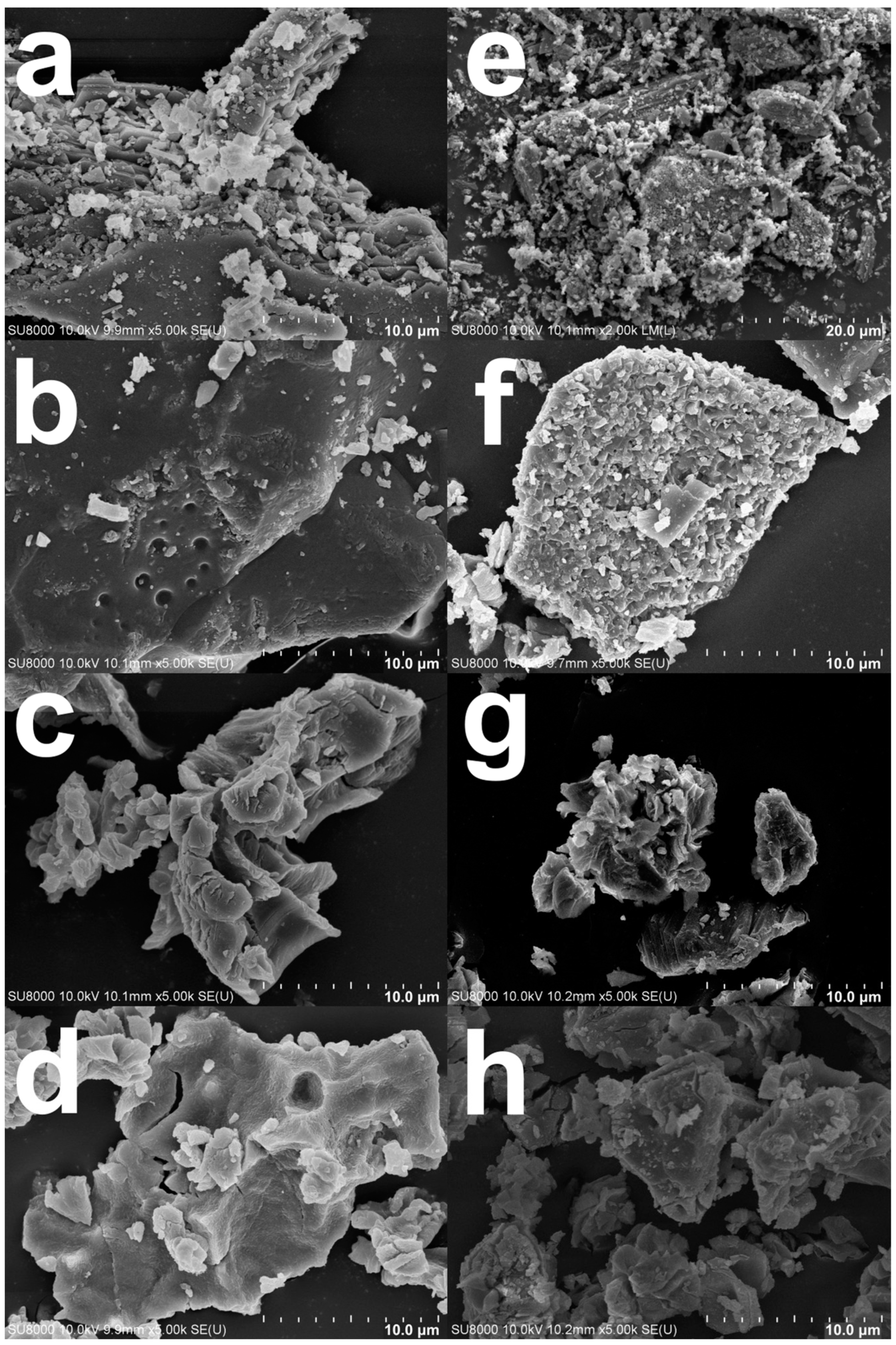 Materials 16 00805 g006