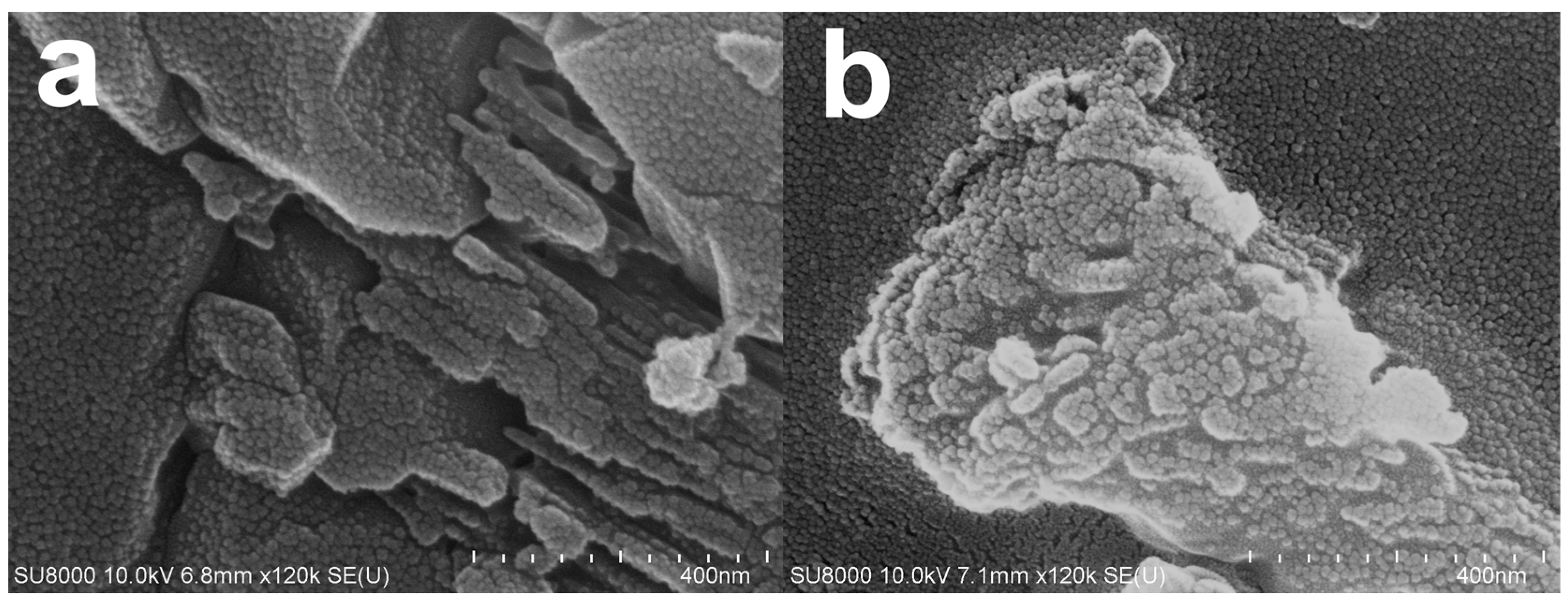 Materials 16 00805 g007