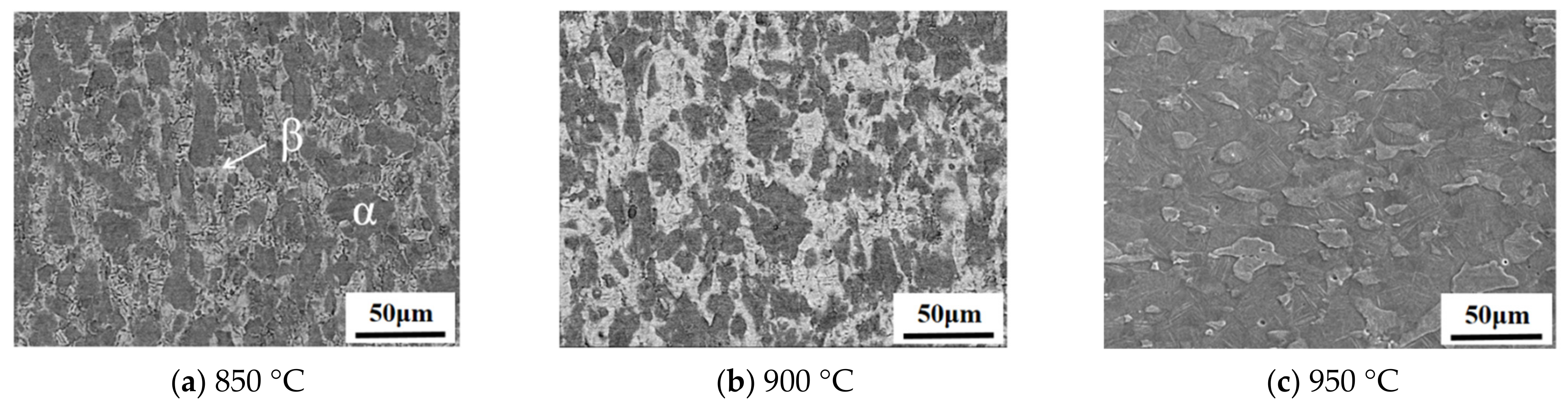 Materials 16 00810 g007