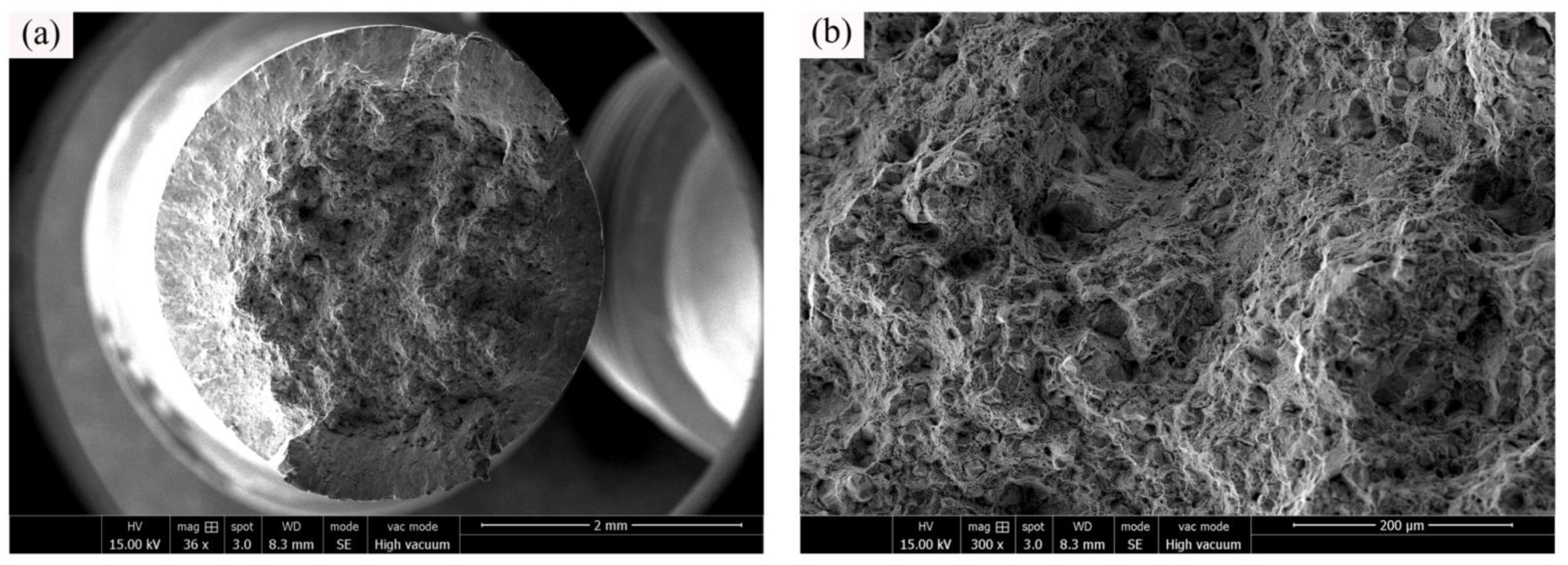 Materials 16 00815 g009a