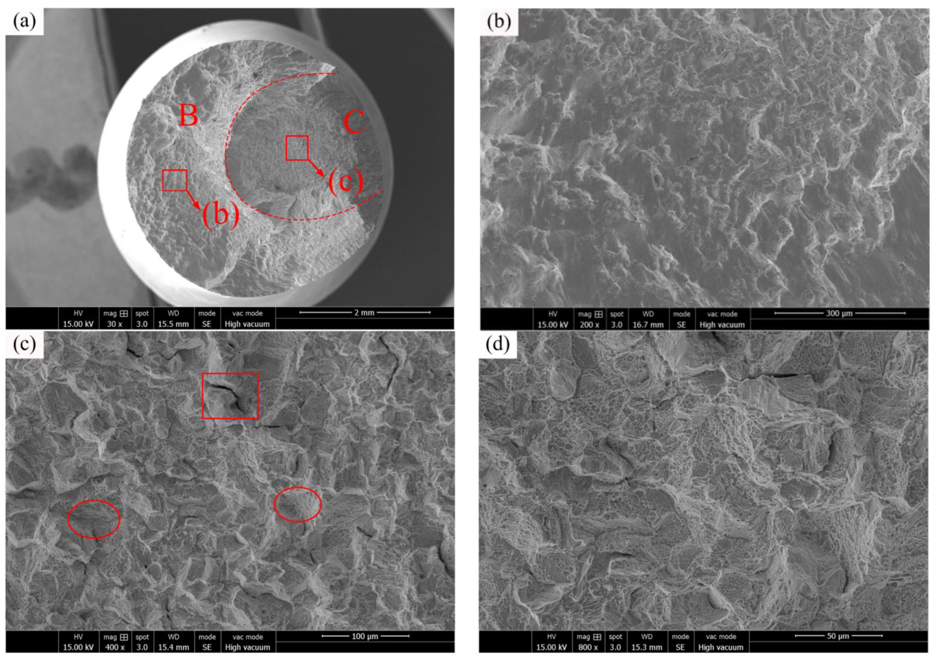 Materials 16 00815 g012