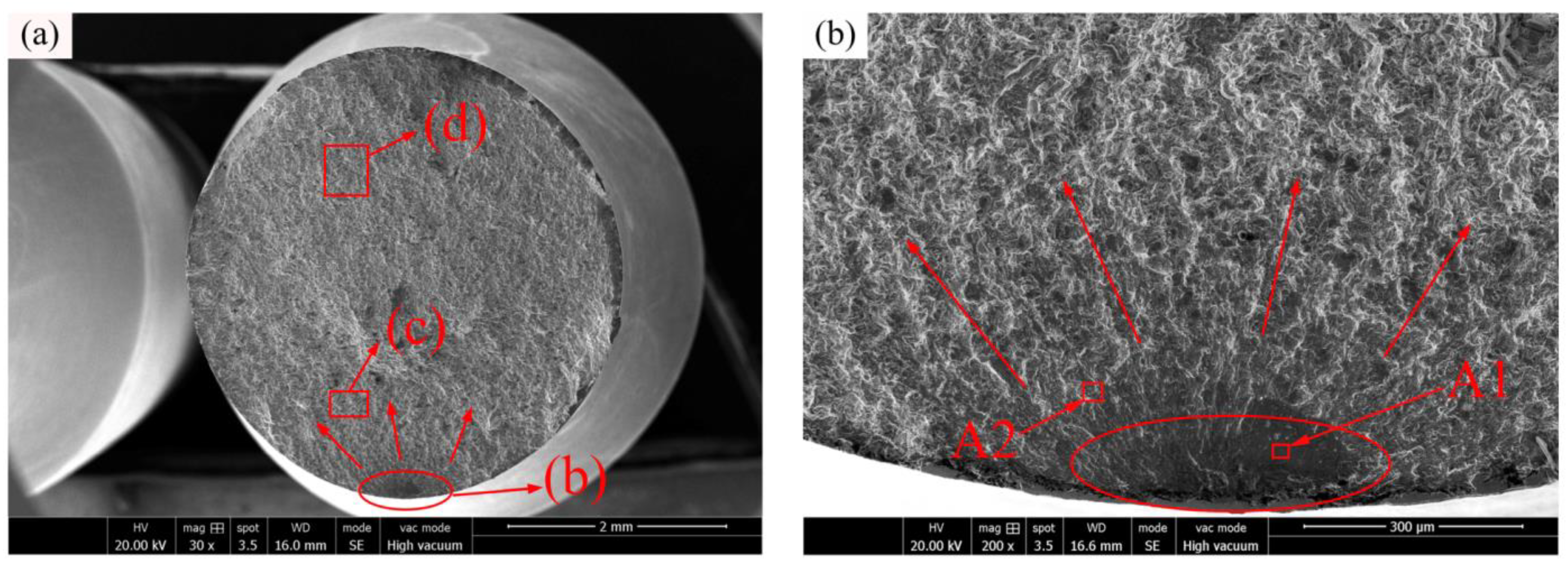 Materials 16 00815 g013a