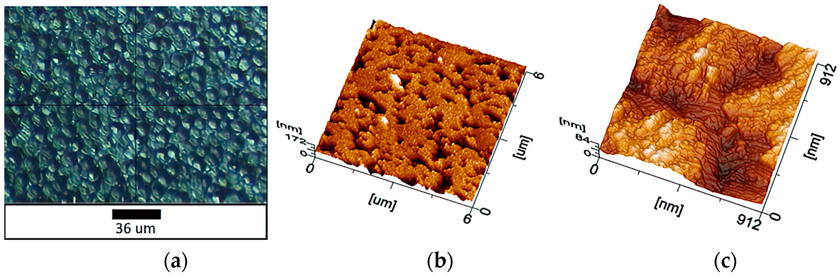 Materials 16 00838 g001