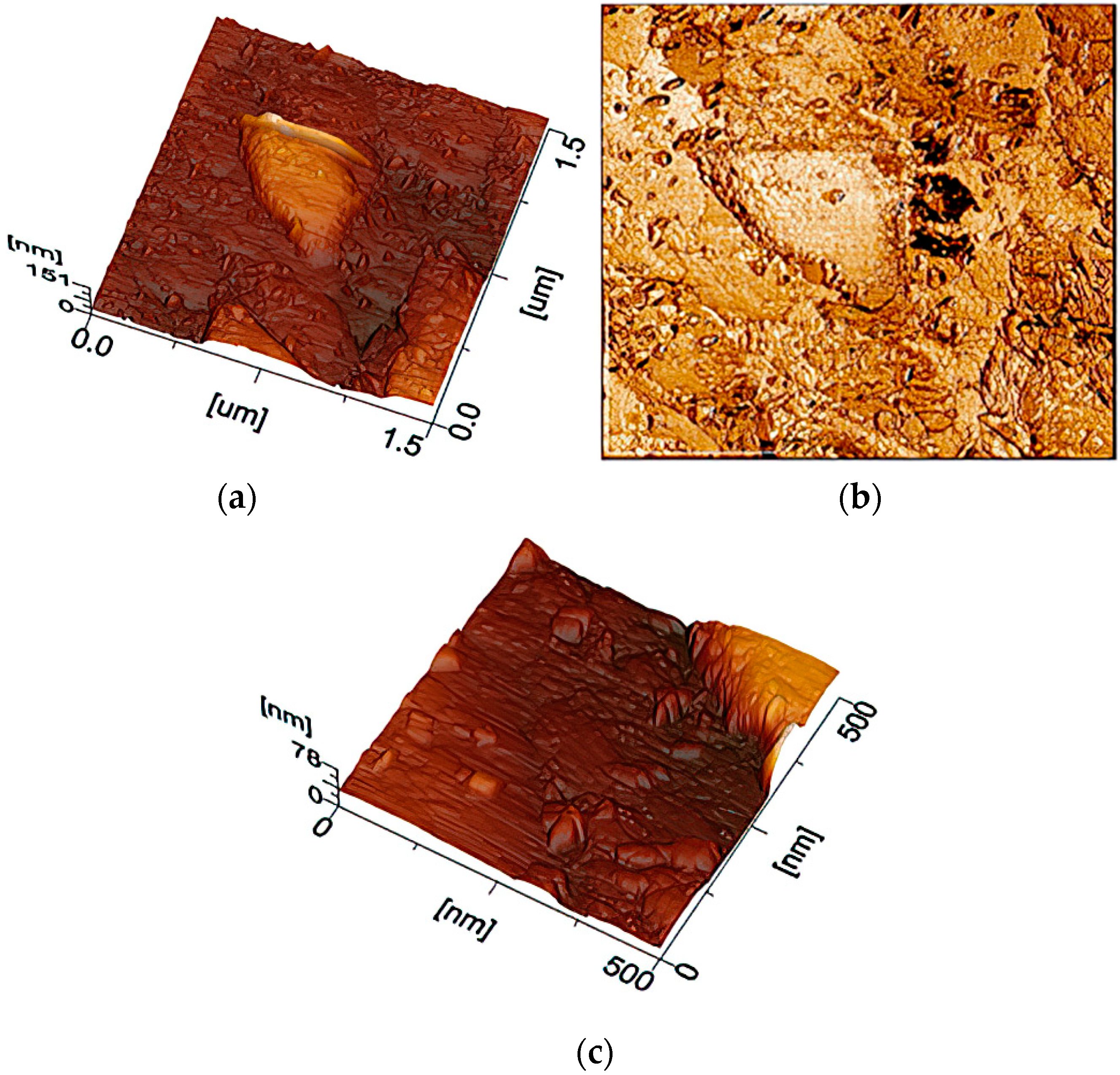 Materials 16 00838 g003