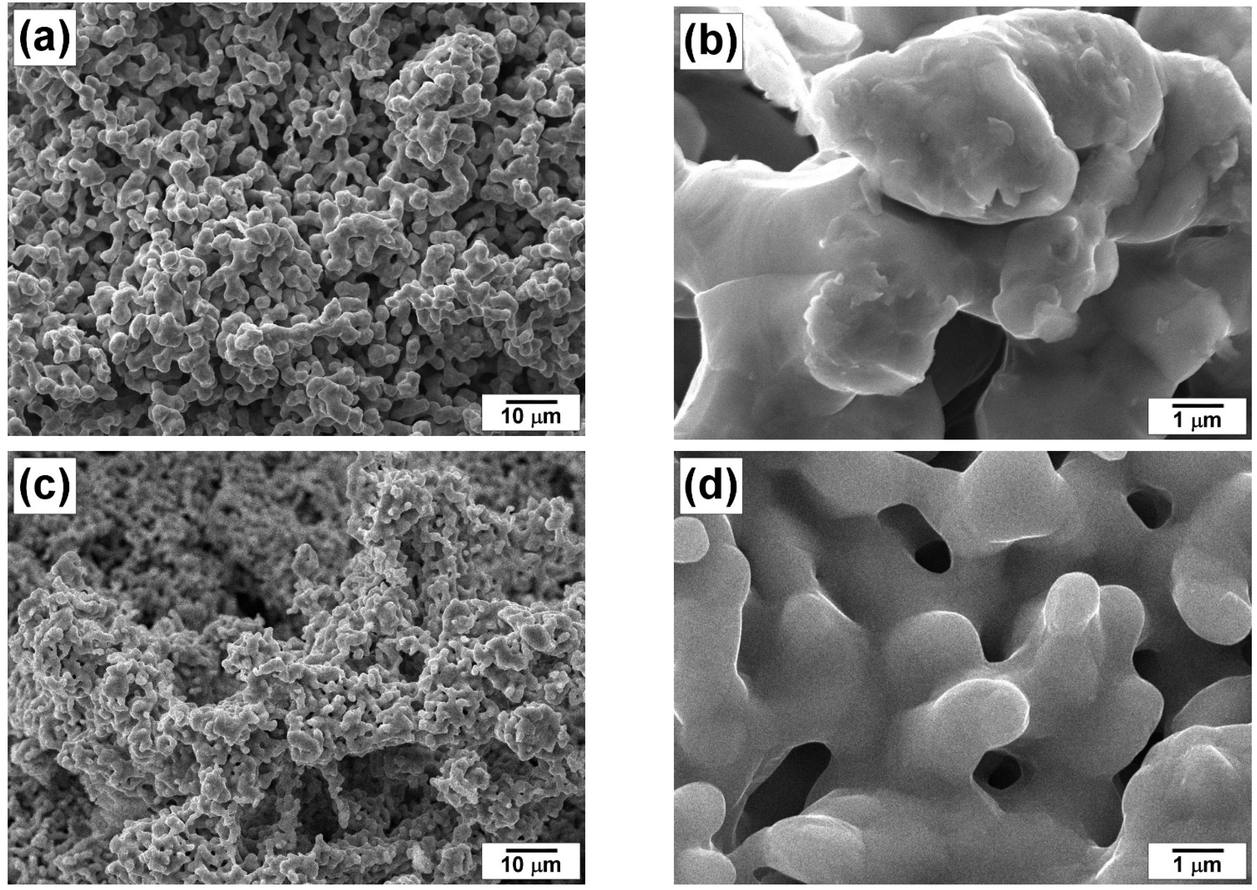 Materials 16 00845 g001